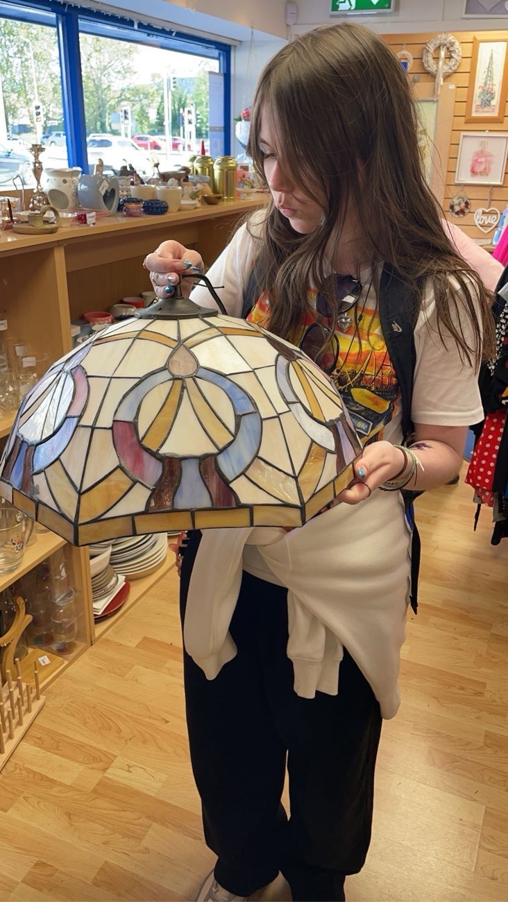 A TIFFANY STYLE LAMPSHADE bought at Vincent's Tallaght for €35.00