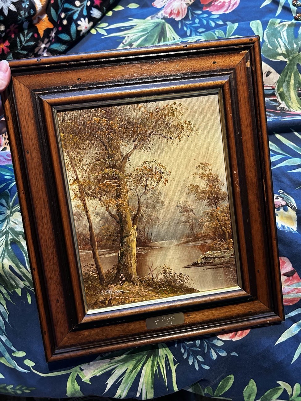 original painting 🎨 bought at Lighthouse Charity Shop for £10.00
