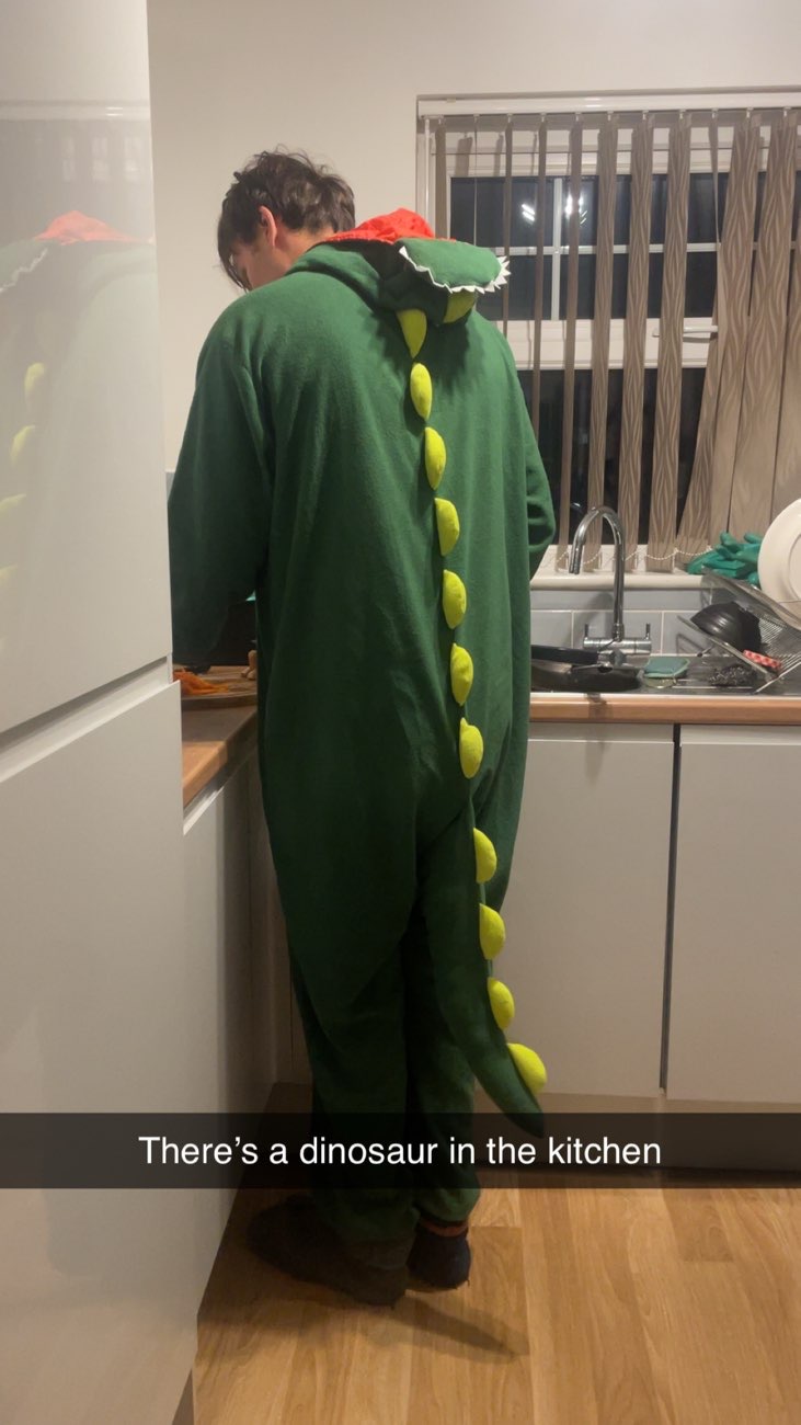 Adult XL dinosaur onesie bought at Great Western Air Ambulance Charity - Cheltenham Shop