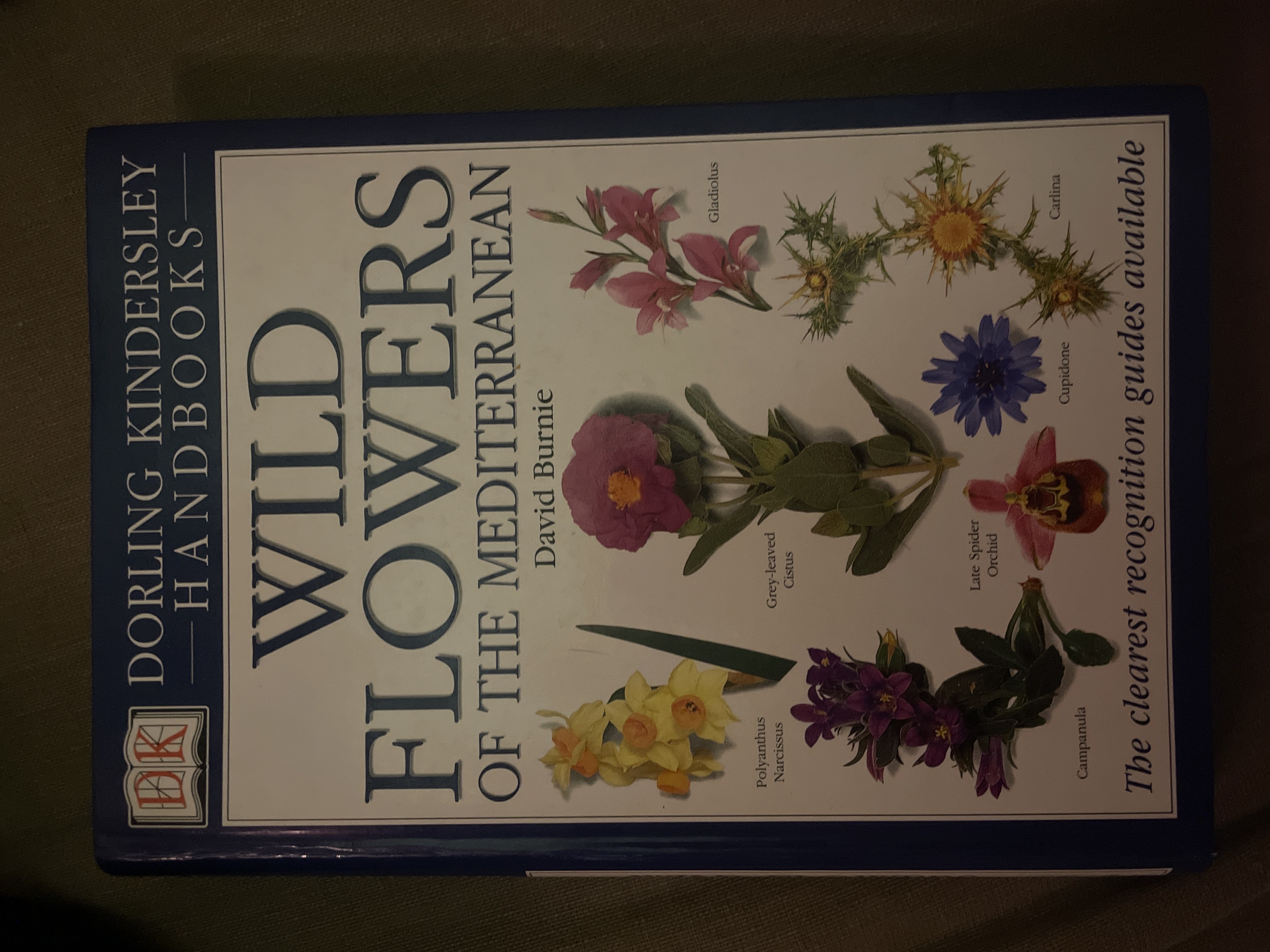 Wild flowers bought at St. Richard’s Hospice Charity shop for £2.45