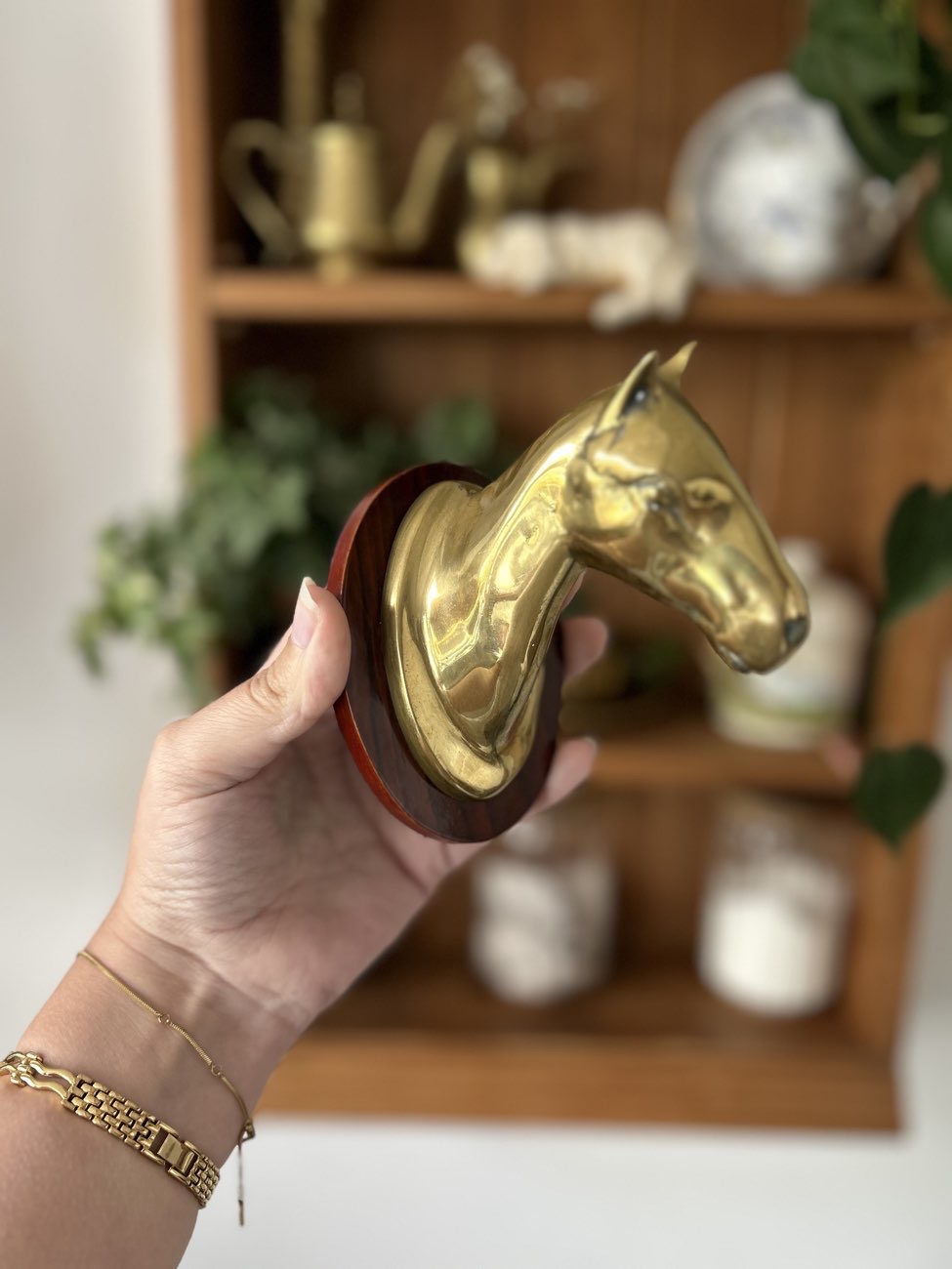 vintage brass horse product bought at Mountbatten Hospice Charity Shop for £3.00