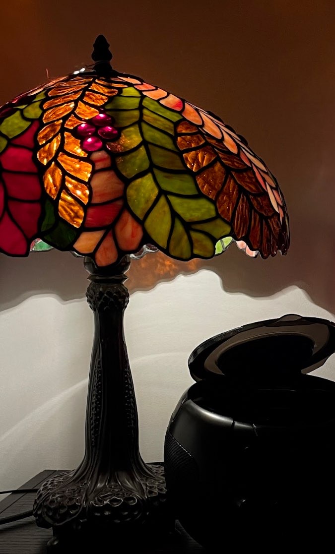 Gorgeous tiffany lamp bought at Hope House Wrexham Shop for £40.00