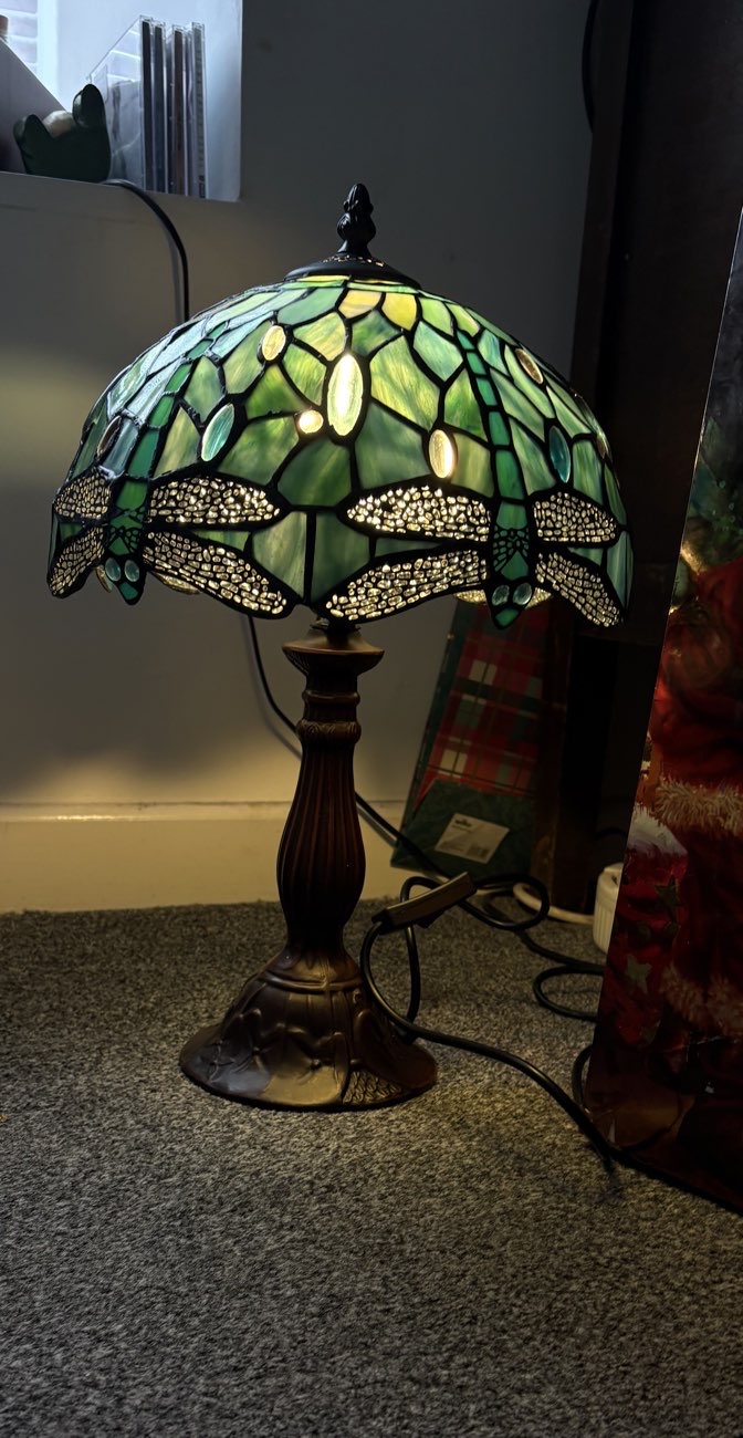 dragonfly tiffany lamp bought at Snoopers Paradise