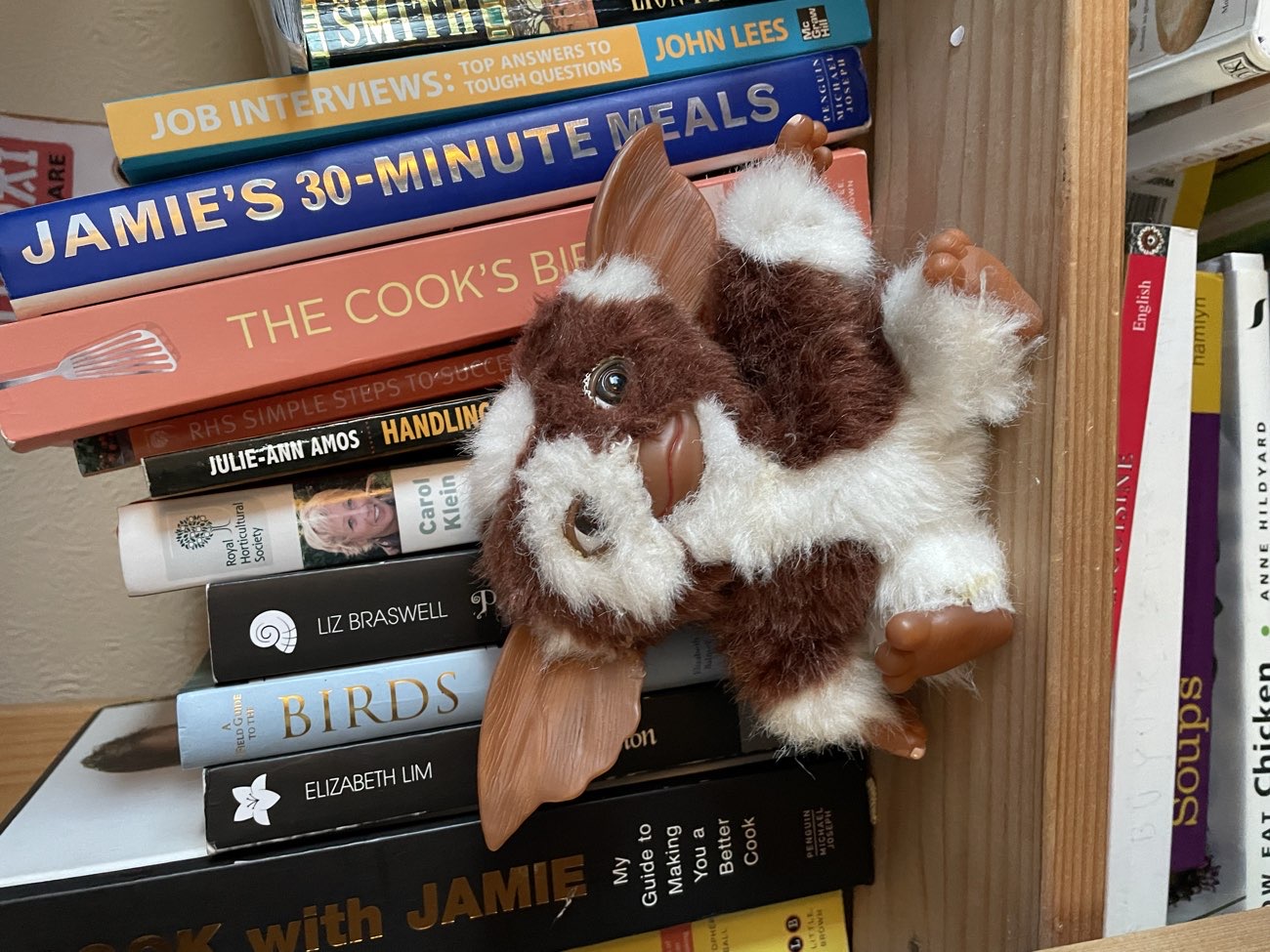 Vintage gizmo teddy bought at Barnyard Antiques for £15.00