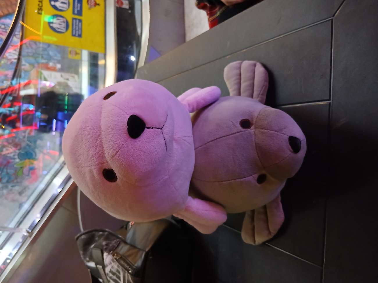 Two Pink And Grey Seal Plushies (Got matching ones with my friend - £1 each) bought at Cancer Research UK for £2.00