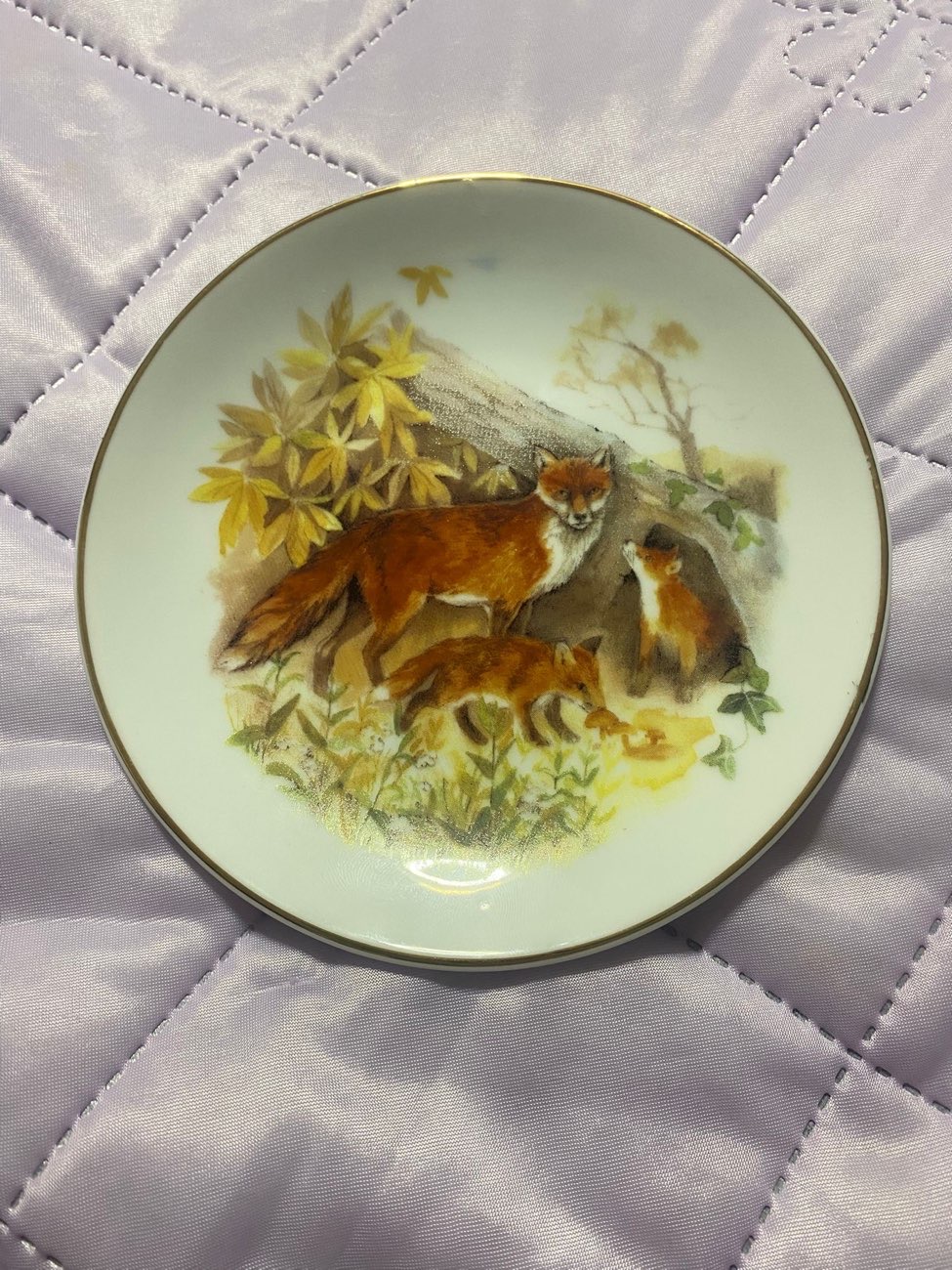 Fox Trinket Dish bought at Oxfam Shop for £1.99