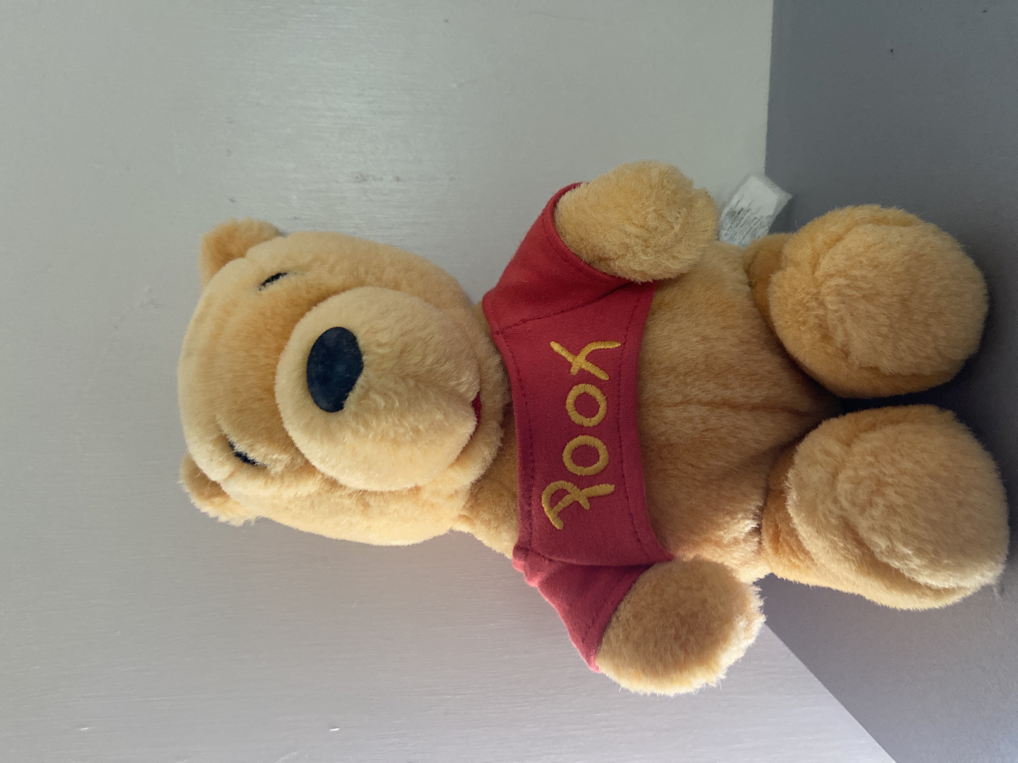 Winnie The Pooh bear product bought at Mary Ann Evans Hospice for £3.00