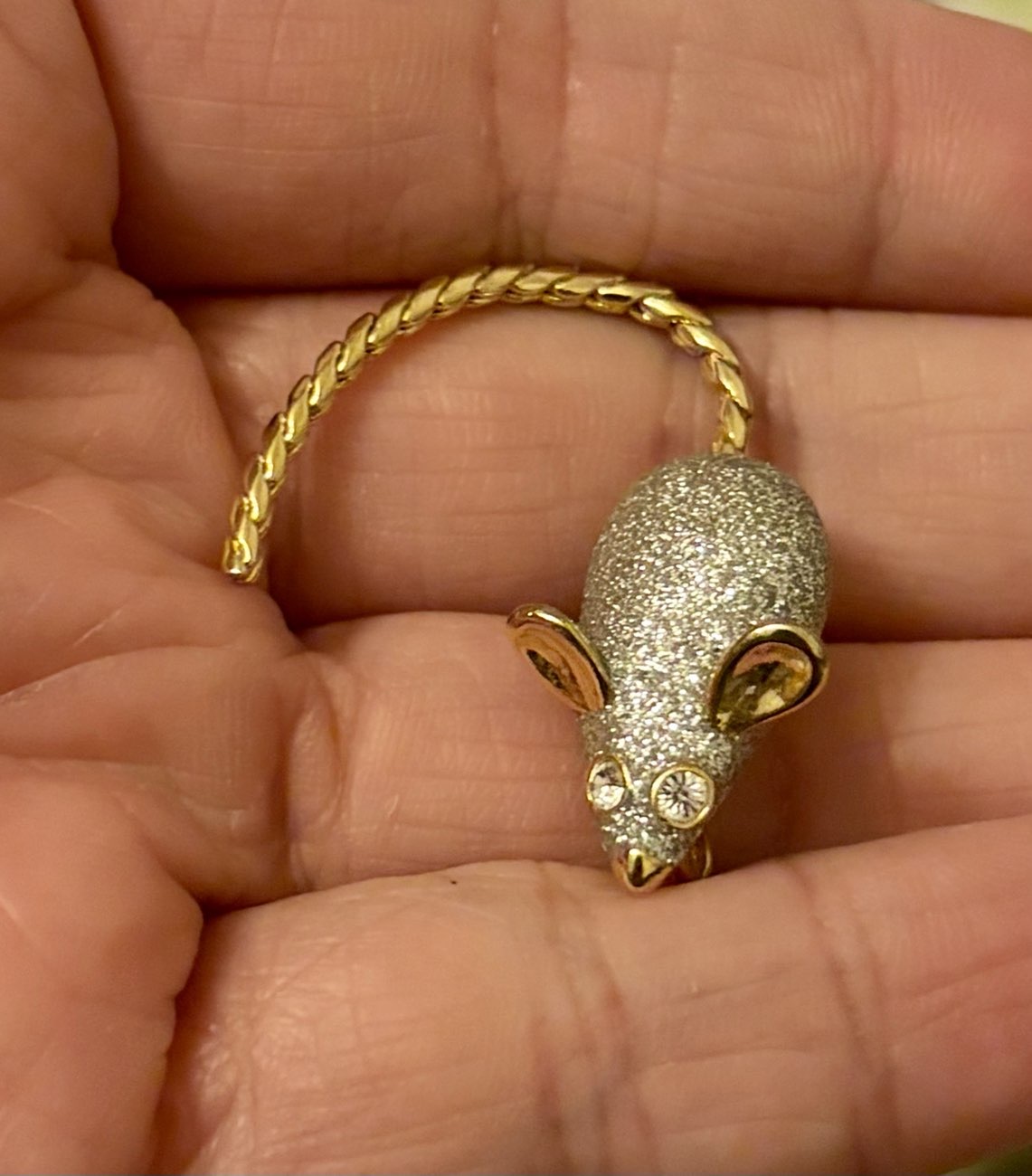 Mouse brooch with moving tail bought at Drapers Lane Antiques