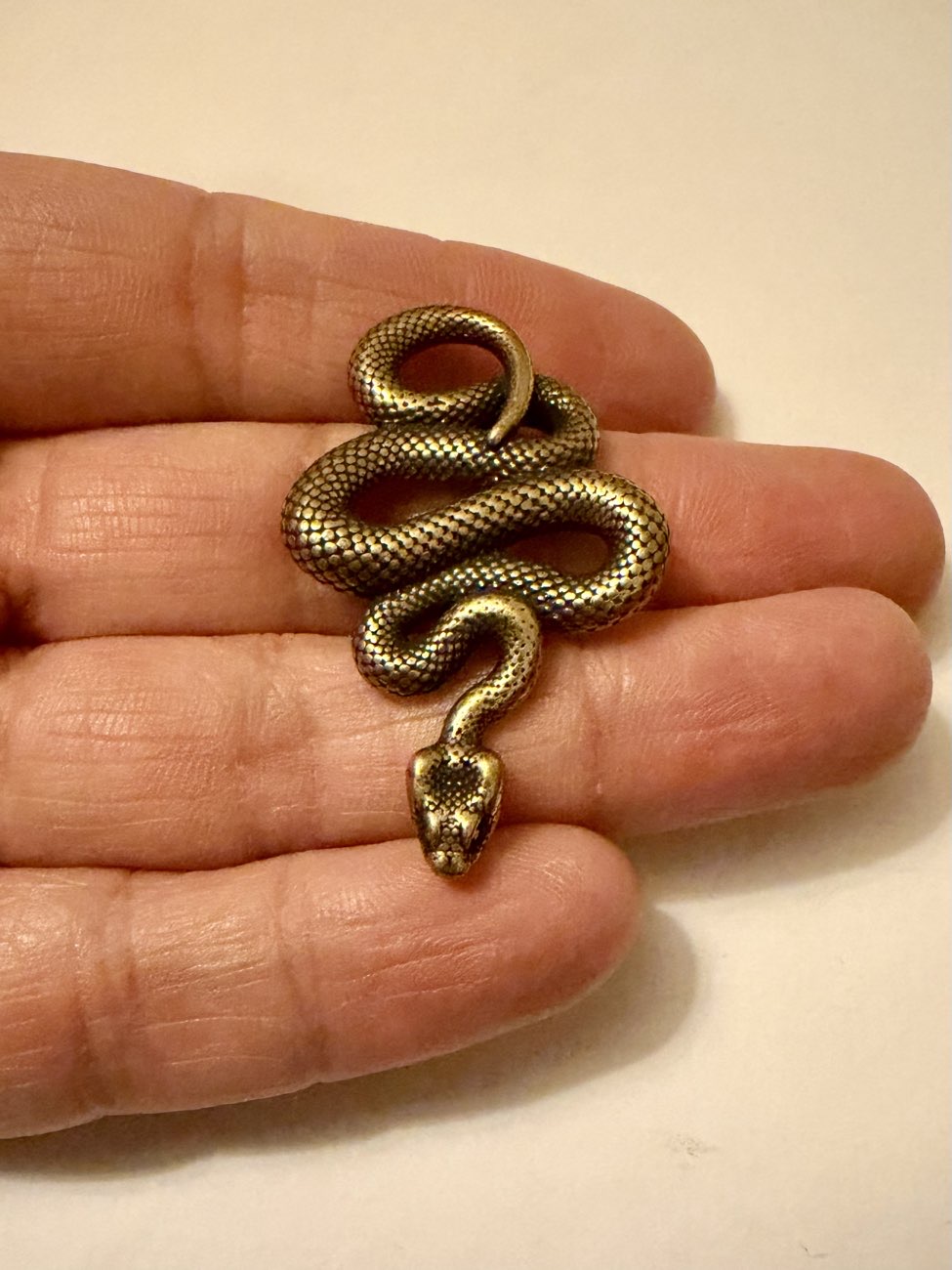 Brass snake. I’m going to put it on a necklace. bought at Leominster Antique Market for £6.50