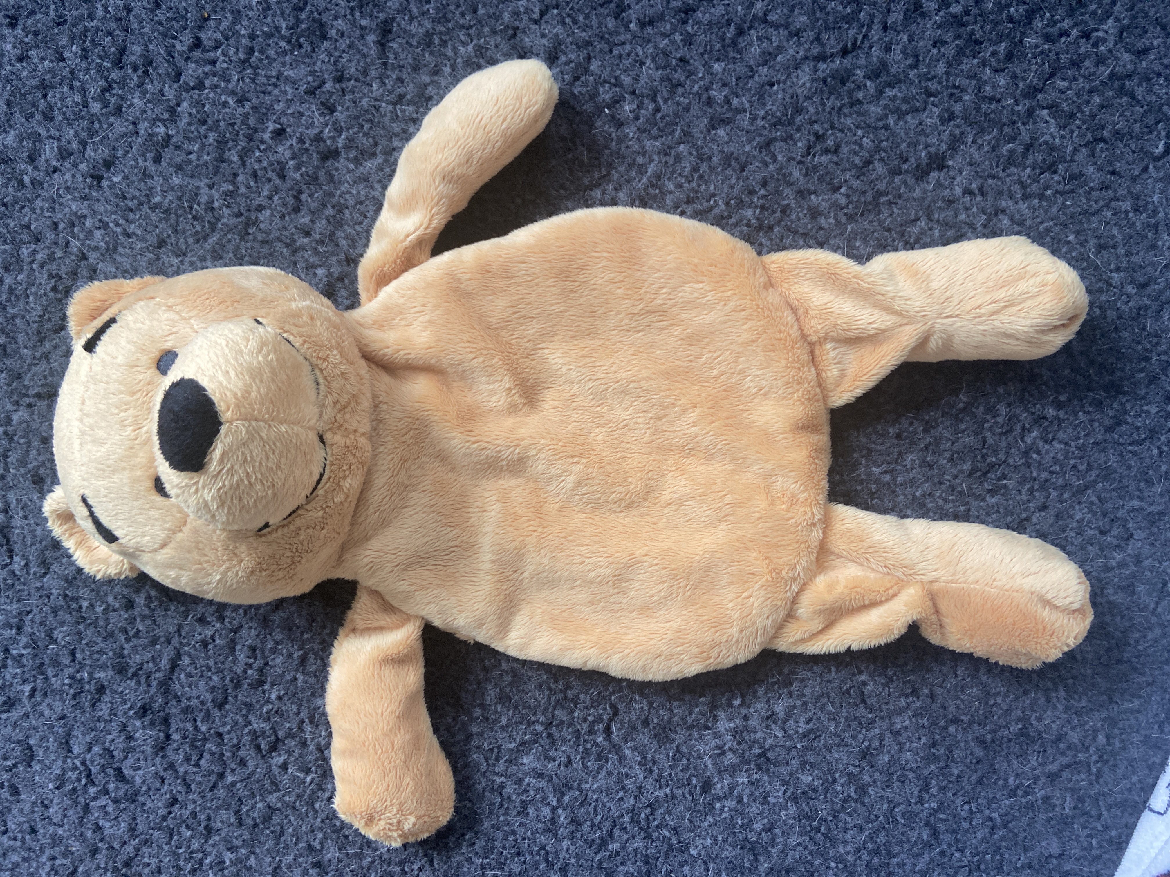Winnie The Pooh hot water bottle cover bought at Furnace End Market and Car Boot Sale for £0.50