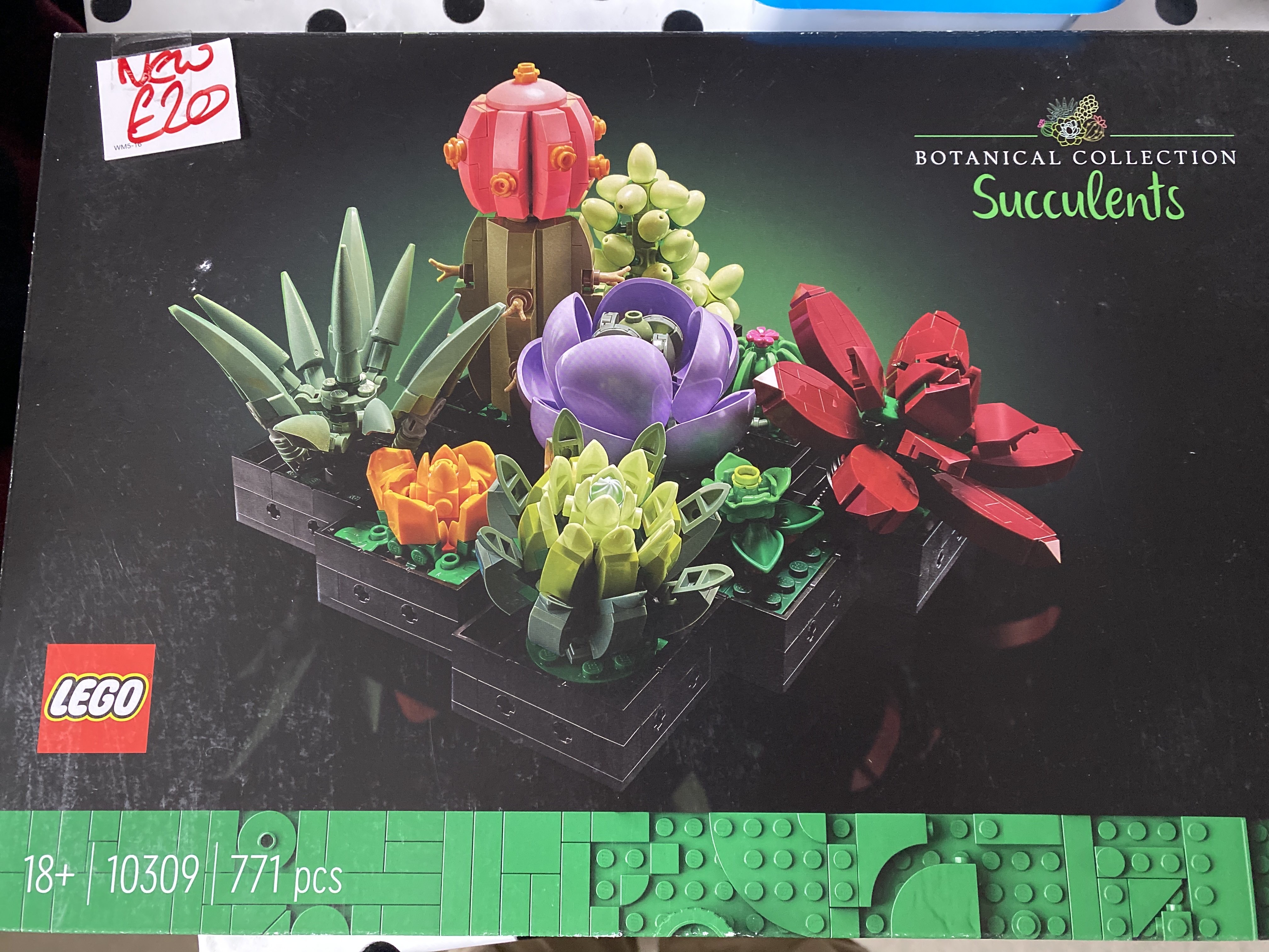 unopened Lego succulent set, half the online Price! bought at Acton Recycling Community for £20.00