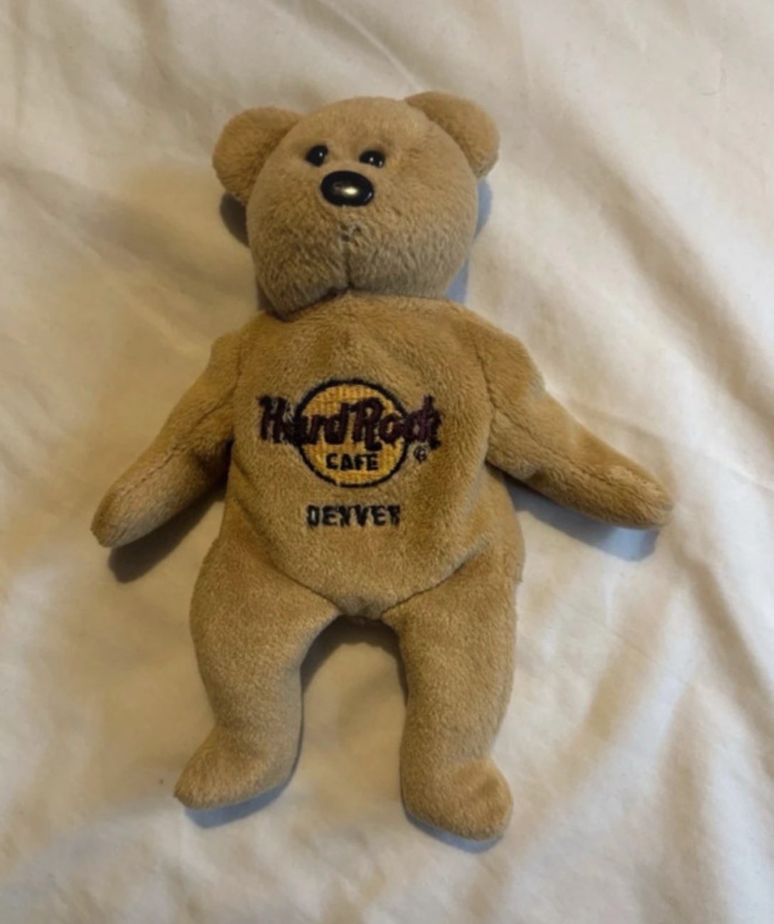 Hard Rock Cafe Collectible Bear bought at Barnardo's for £1.00