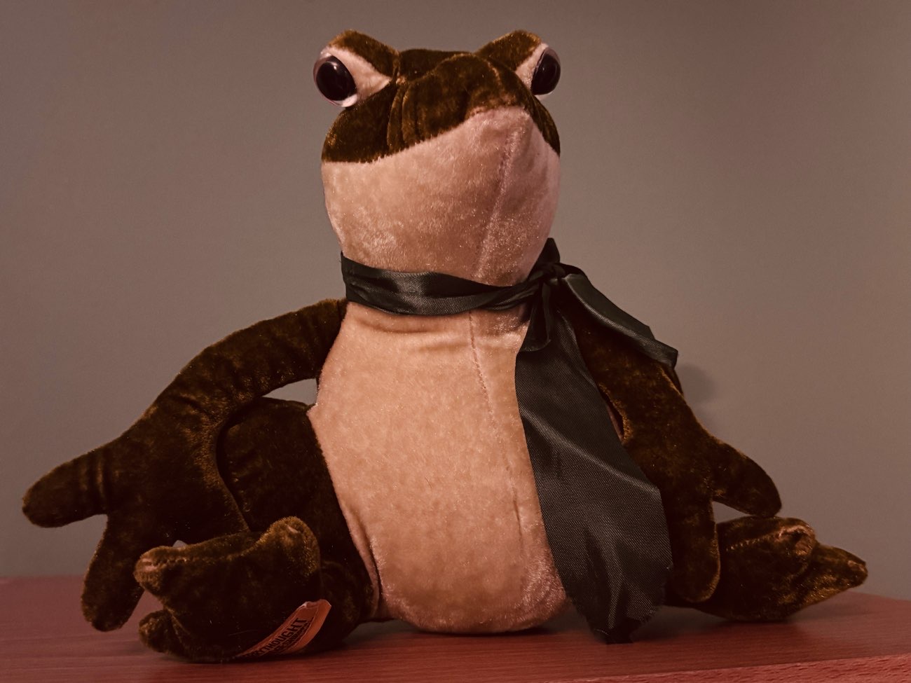 Collectible Plushies bought at CRY