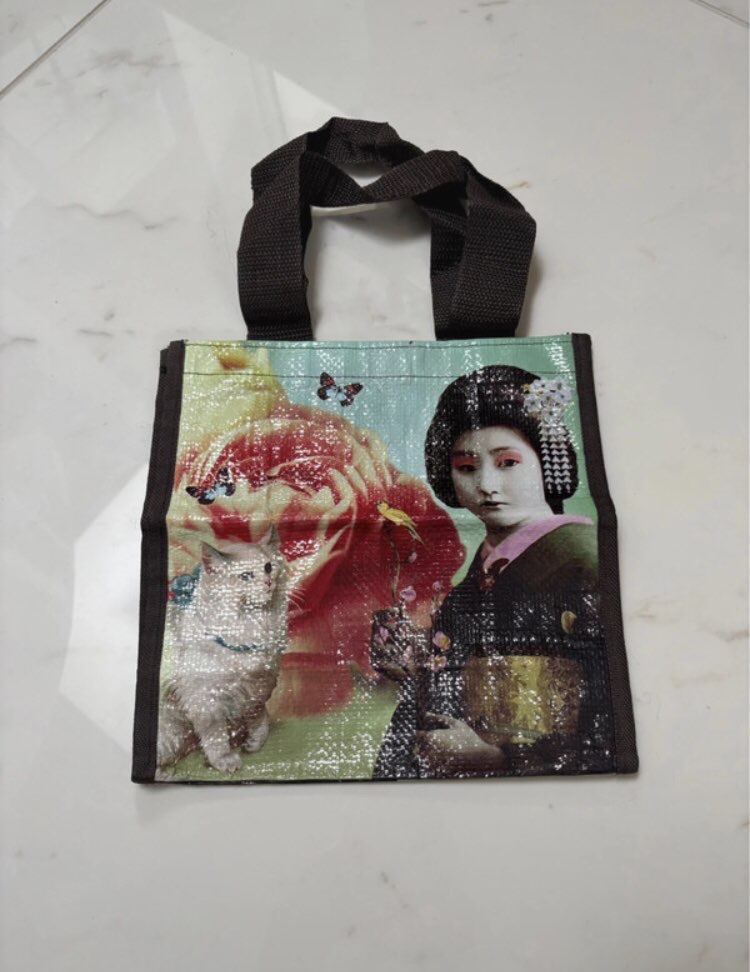 my dream geisha themed reusable shopper bought at Emmaus Bolton for £1.00