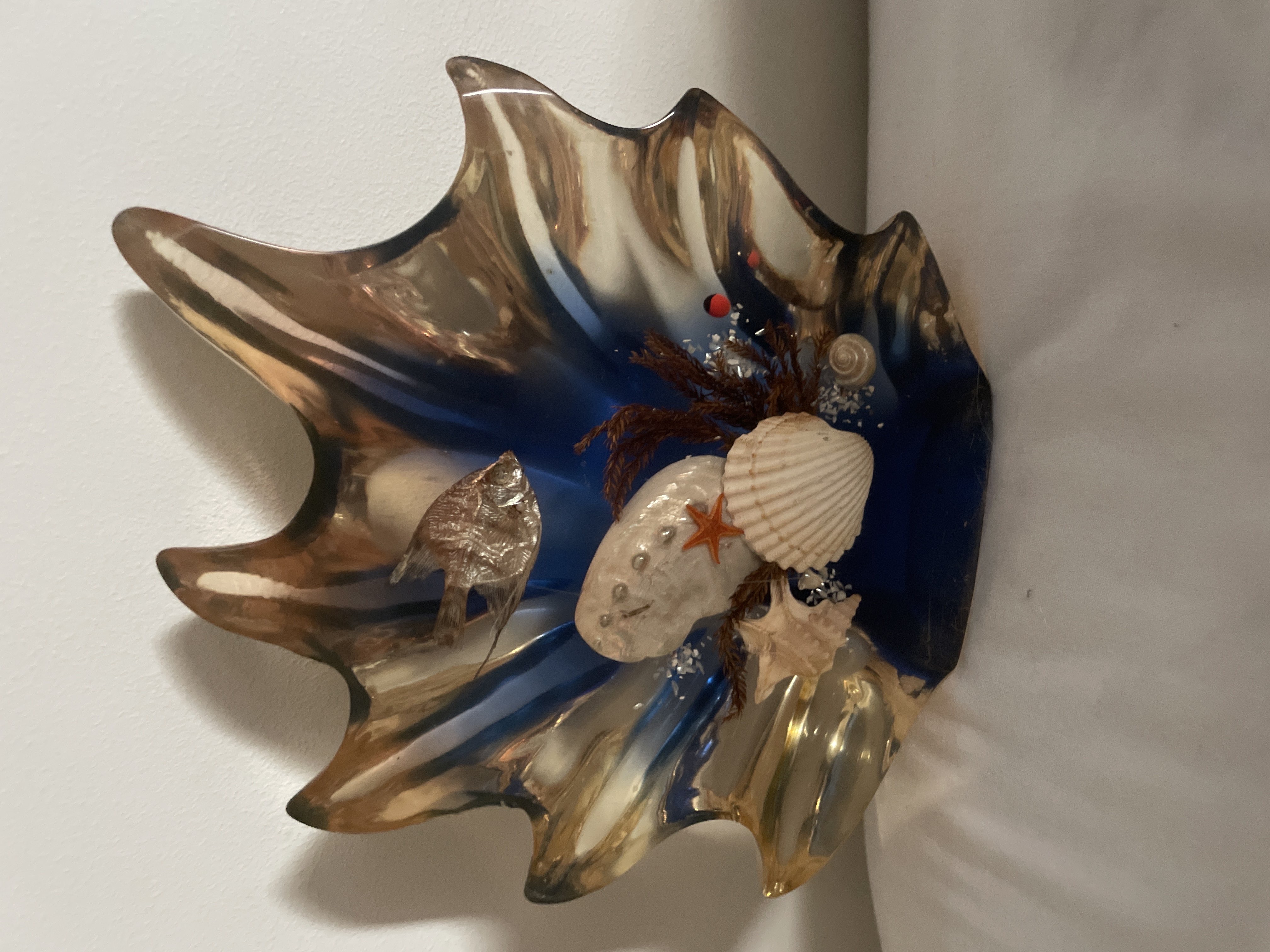 seashell decor bought at Lutterworth Antiques for £3.00