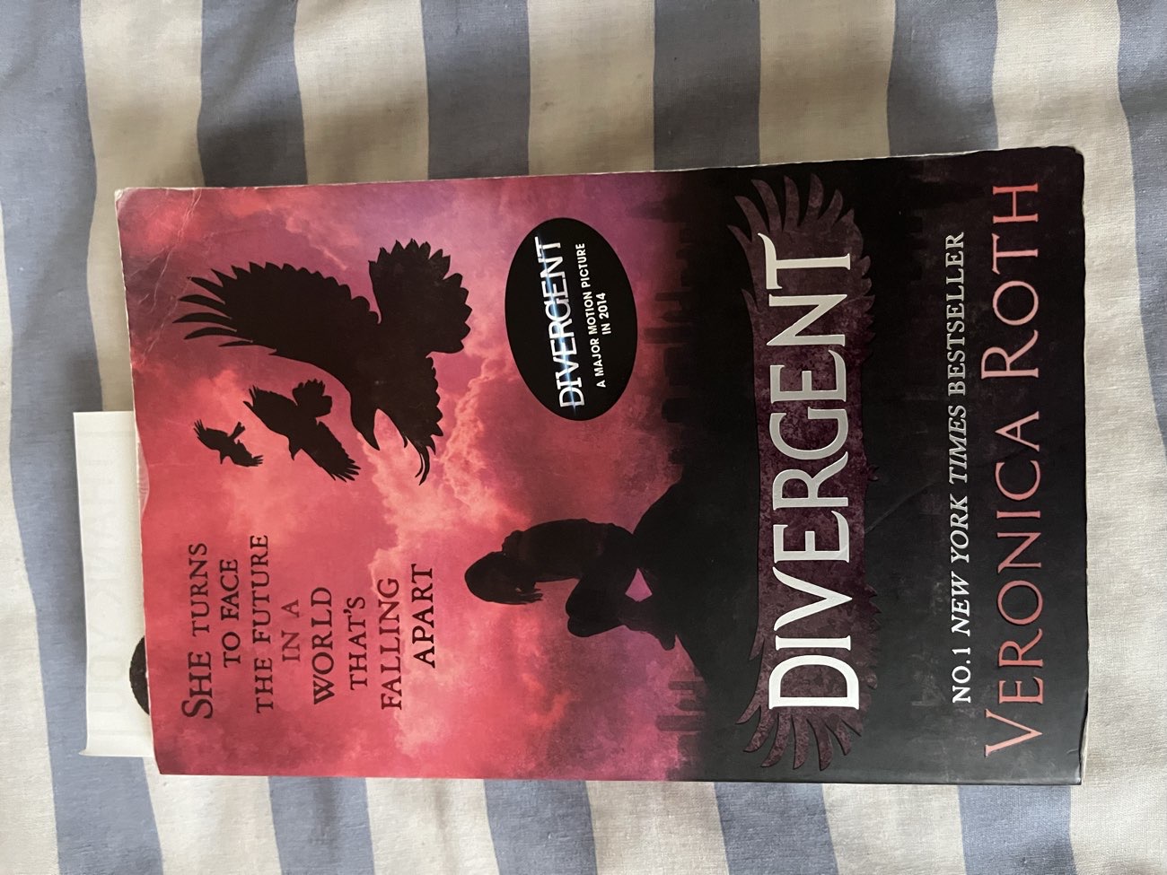 divergent book (had the trilogy but i decided not to be greedy) bought at Oxfam Bookshop for £4.00
