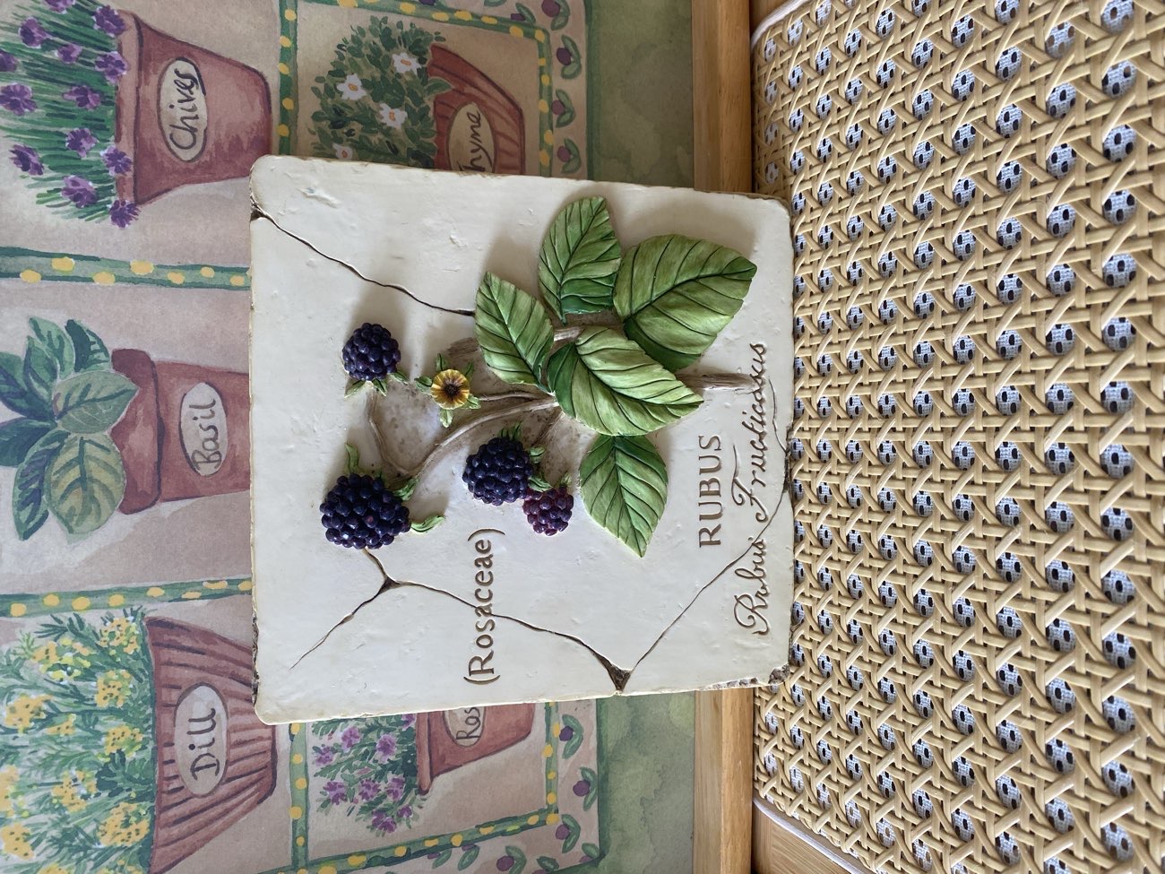 Ceramic M&S Blackberry Wall Plaque 🍎 bought at Princess Alice Hospice for £2.50