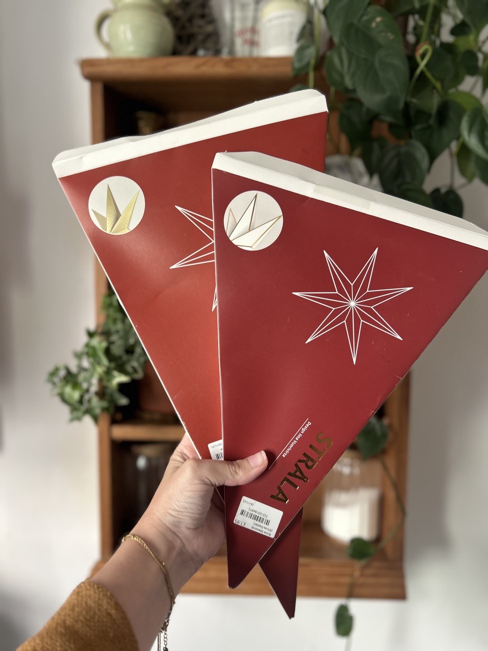 Two IKEA star lampshades bought at Sue Ryder for £1.95