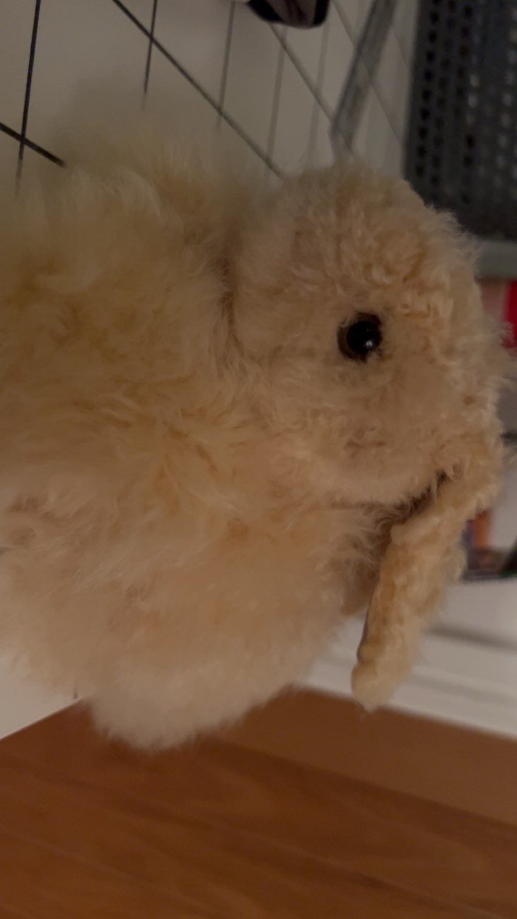 bunny plush made from alpaca wool and border collie plush bought at Big Ben's Car Boots for £3.00