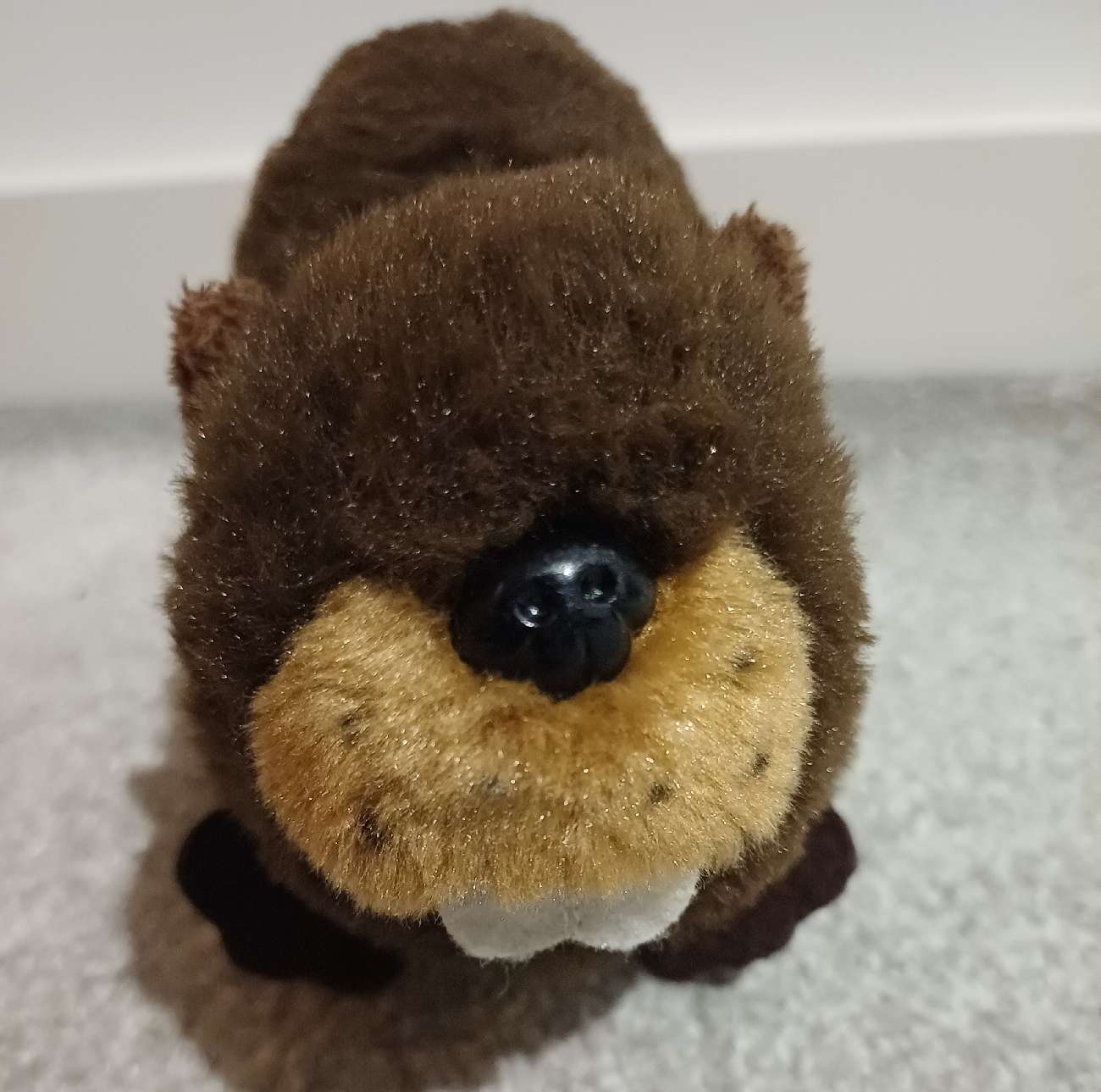 Ark Toys beaver, prev owner put a ghost w pumpkin charm on him.? :) bought at Imperial Charity for £2.50