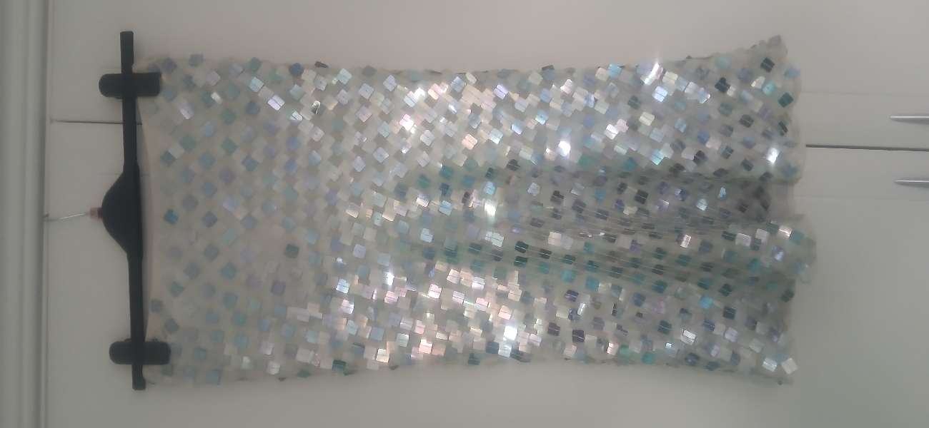 HOBBs silk sequined skirt  ✨️ 💙 bought at Johnsons - vintage shop for £6.00