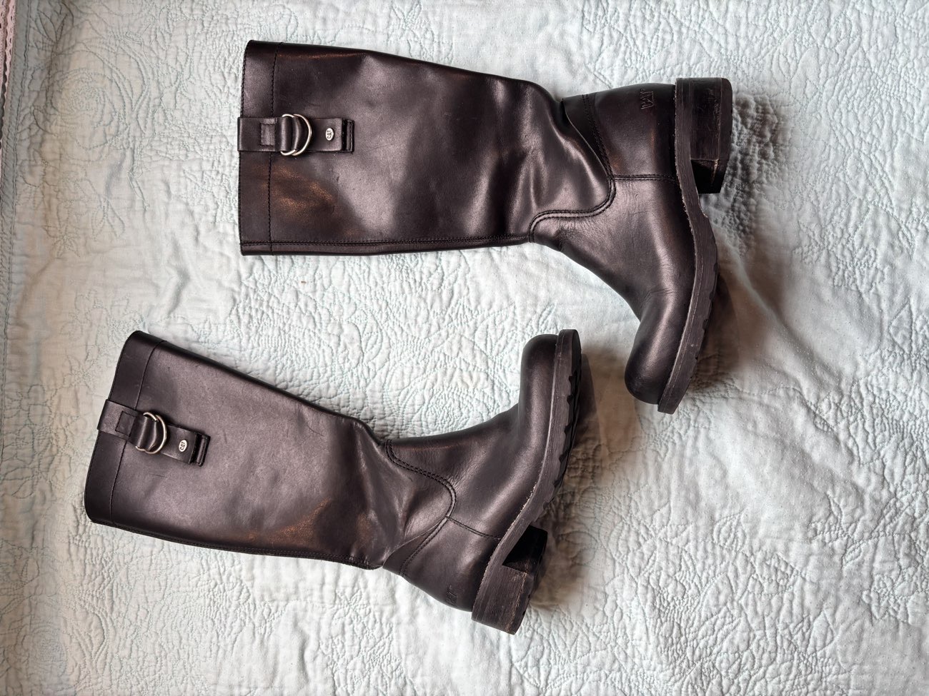 cat boots !!! product bought at Sense for £10.00
