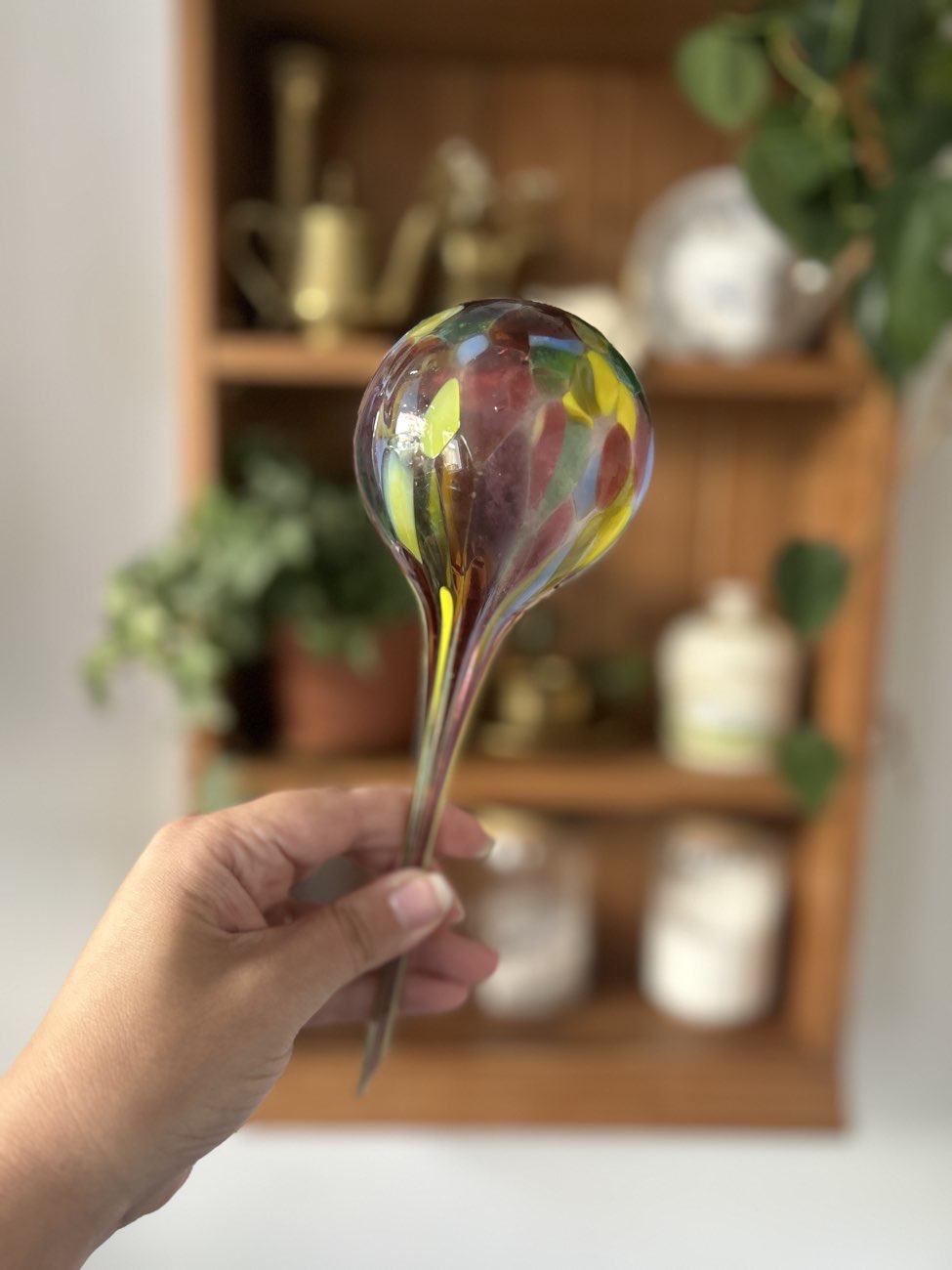 blown glass plant watering thingy bought at Autism Hampshire Charity Shop for £3.00