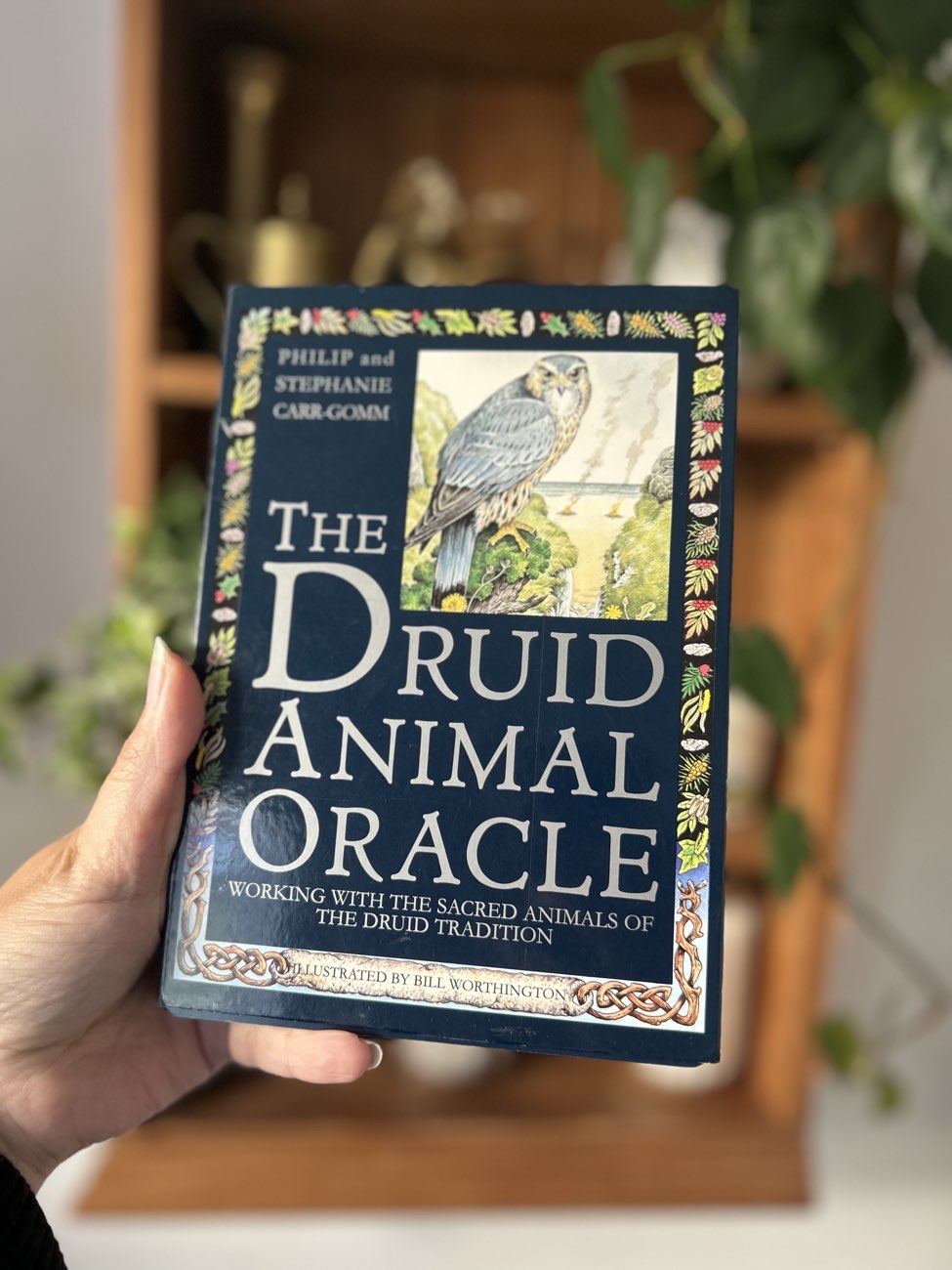 oracle cards and book bought at Sue Ryder for £1.00