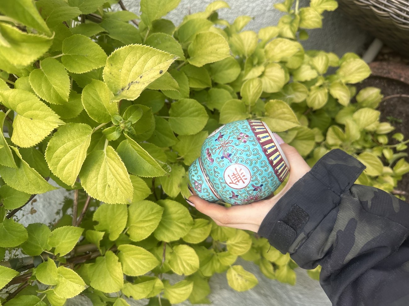 Turquoise hand - painted pot bought at Exeter Racecourse Car Boot Sale for £2.00