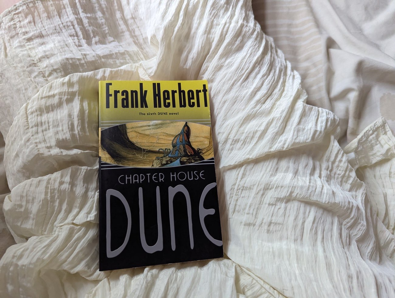 Dune vintage book bought at Cats Protection Charity Shop for £1.00