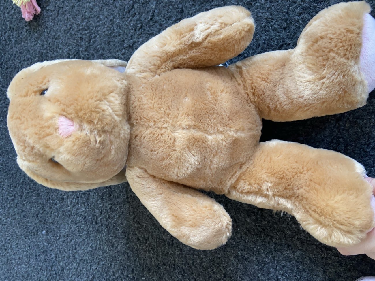Rabbit Build A Bear!! product bought at Mary Ann Evans Hospice for £0.50