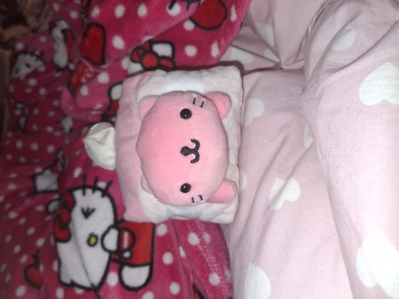 Nyanko short cake plush bought at RSPCA for Β£0.50