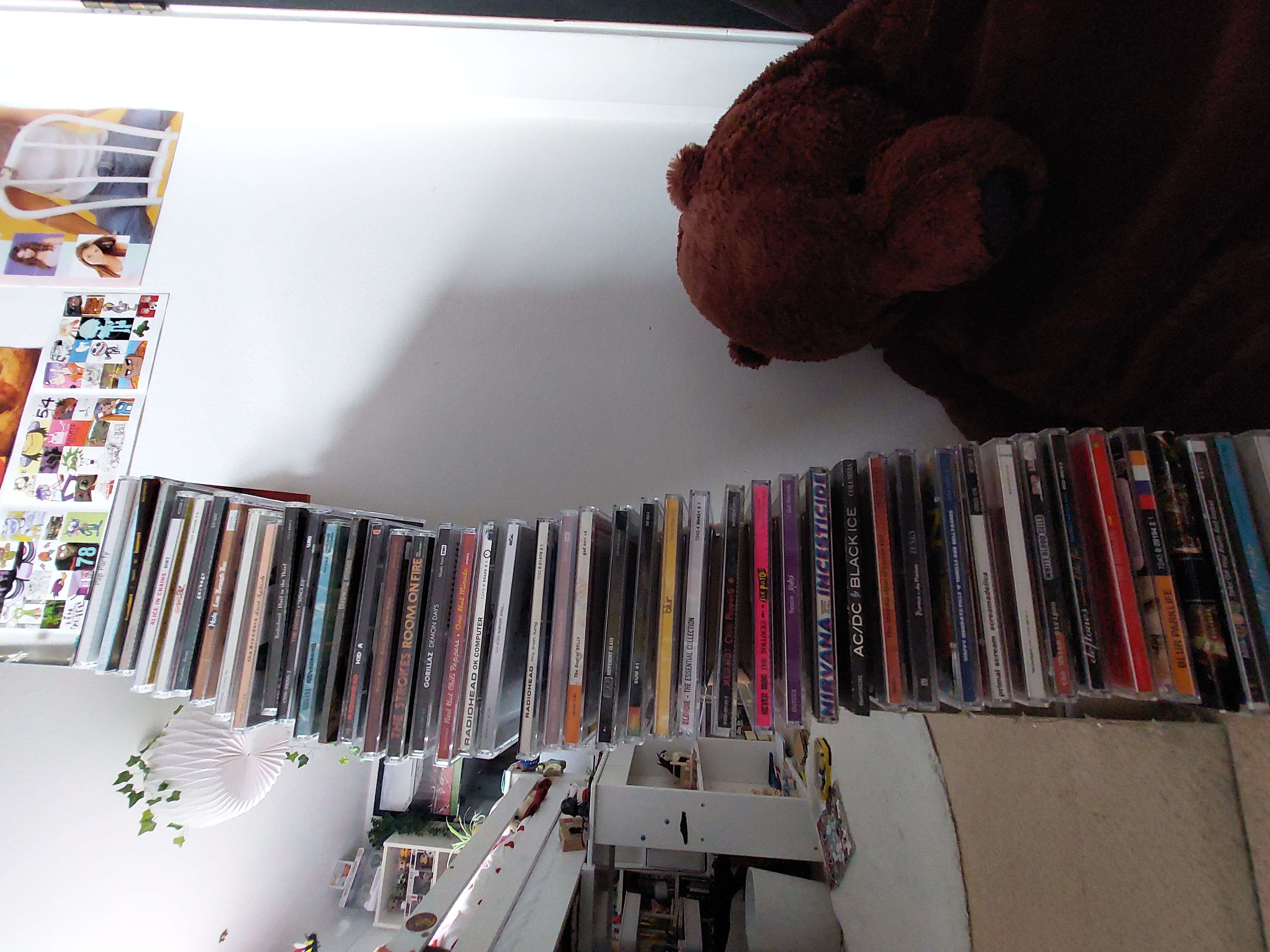 cd rack!! (cds not included) bought at Oxfam Shop for £3.75