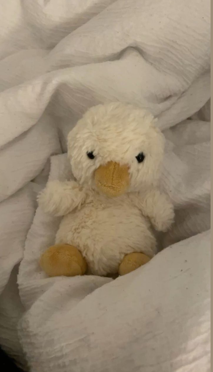 A jellycat brand new with tags only 50p bought at Tilmanstone Boot Fair for £0.50