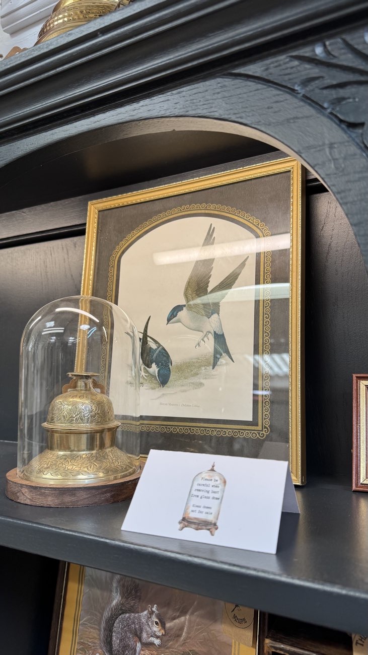 House martins framed picture bought at Banbury Antiques Centre for £30.00
