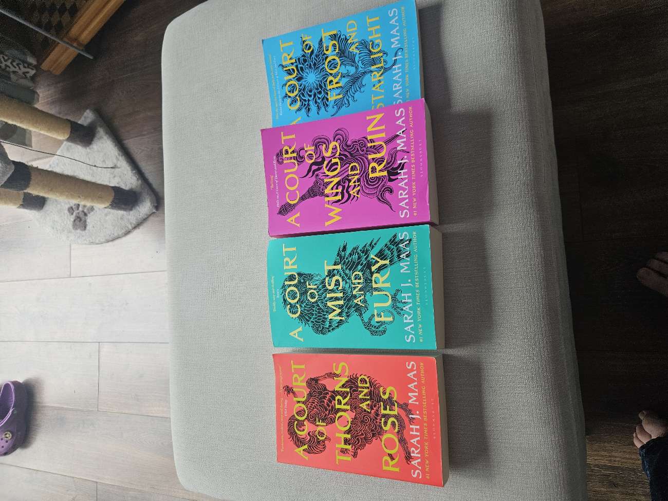 A court of rose and thorn books set bought at WRFC Car Boot Sale for £3.00
