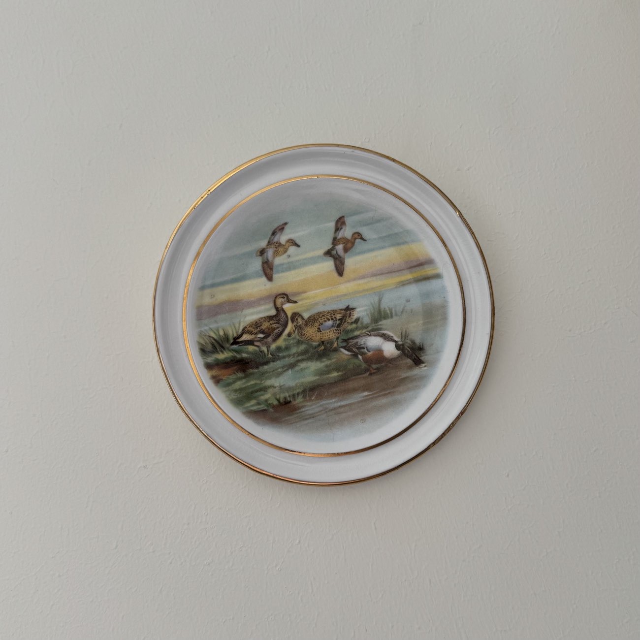 Small duck plate bought at Redbourn Car Boot Sale for £0.60