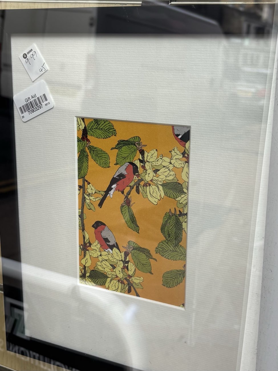 Bullfinch print bought at Oxfam Shop for £9.99