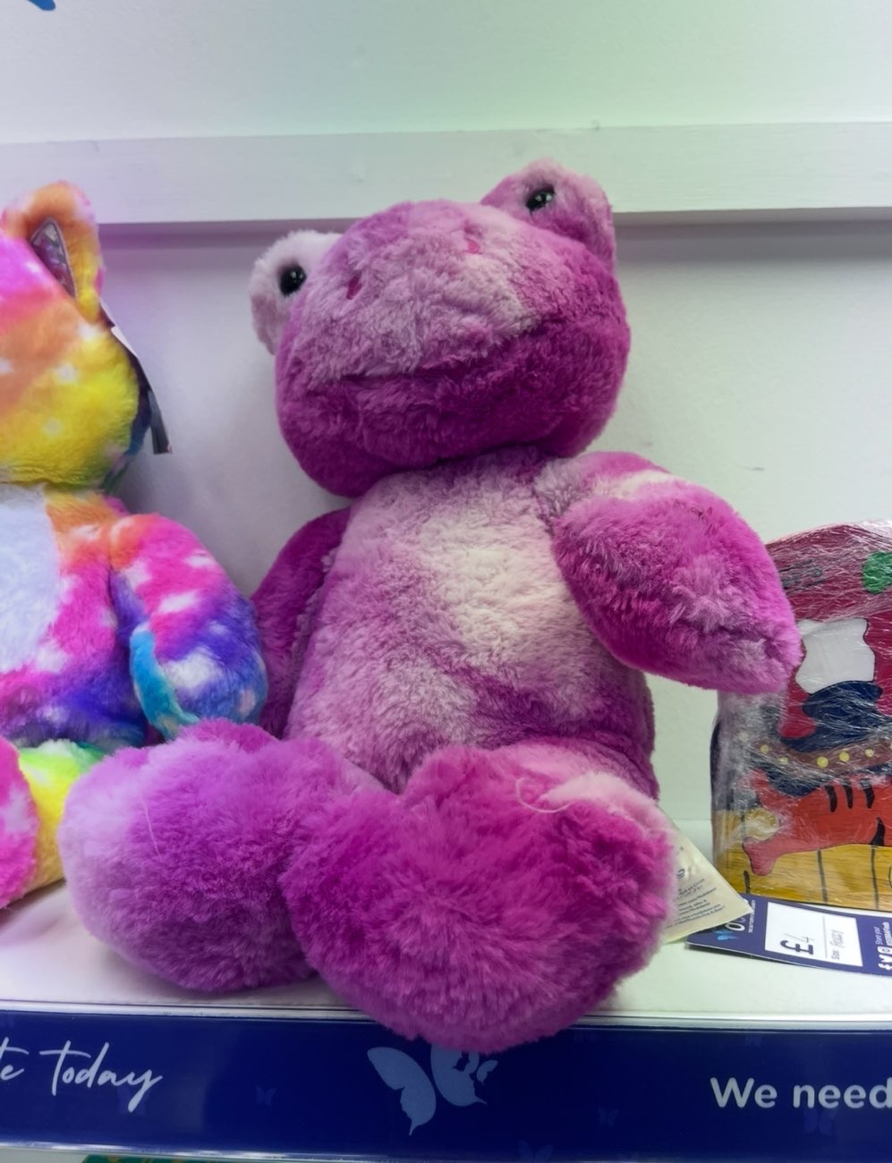 pink build a bear frog ! 🐸 bought at British Heart Foundation for £4.00