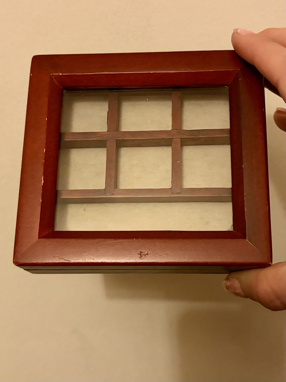 Hinged wood & glass box bought at Birch Hill Dog Rescue Shop for £4.00