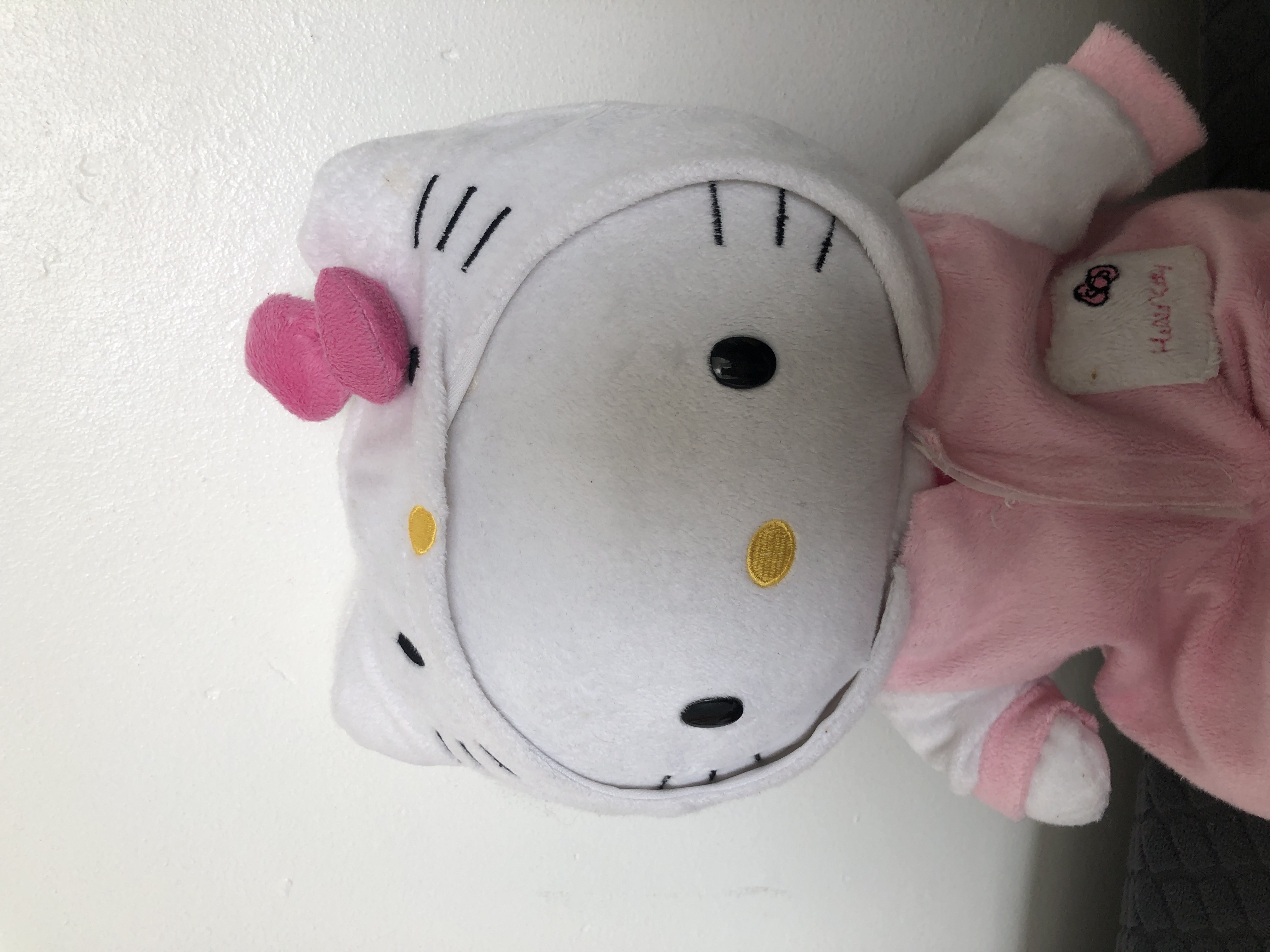 hello kitty in pyjamas plush (my mum got me this :D) bought at Cats Protection Charity Shop for £0.50