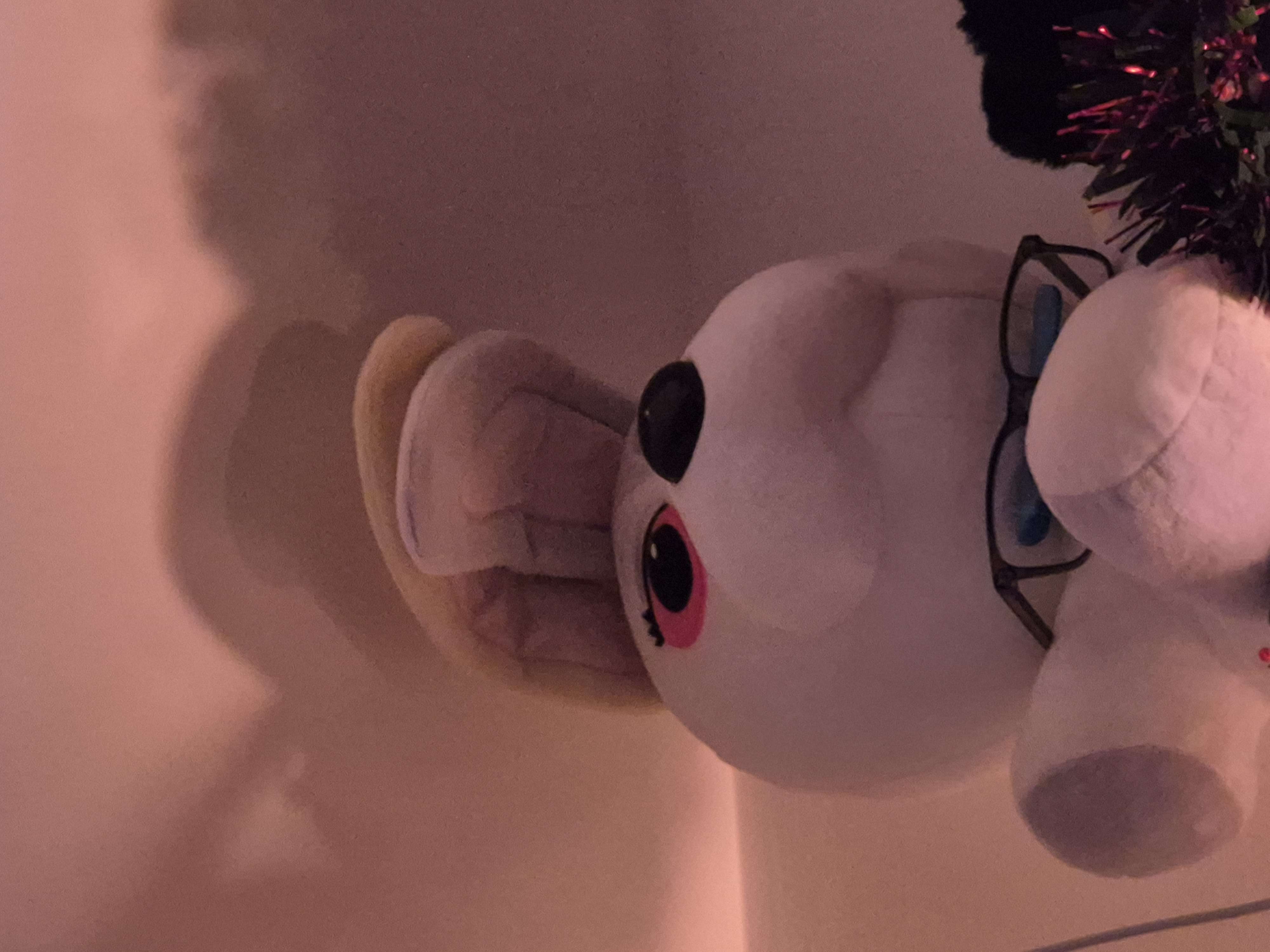 Fnaf Plushie product bought at St Barnabas Charity Shop for £6.00