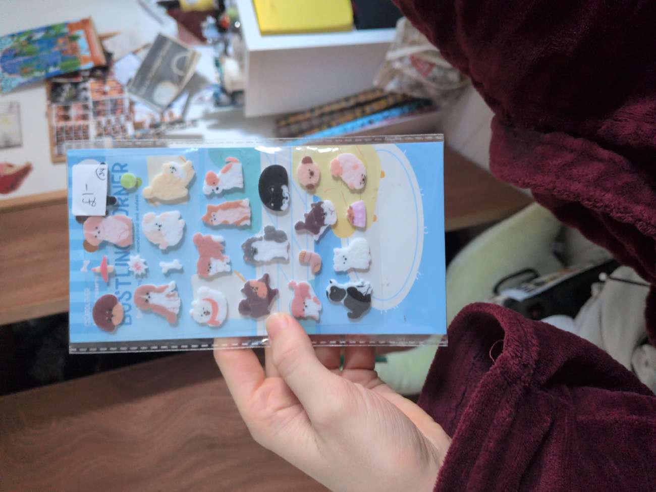 Dog stickers bought at The Prince & Princess Of Wales Hospice for Β£1.00