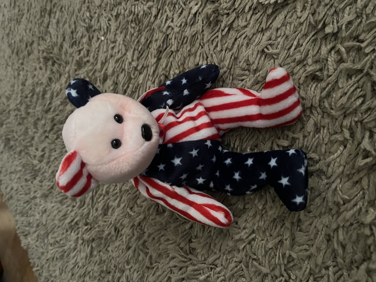 Ty USA Teddy Bear! bought at Rainbows Hospice's Blaby Charity Shop for £1.50