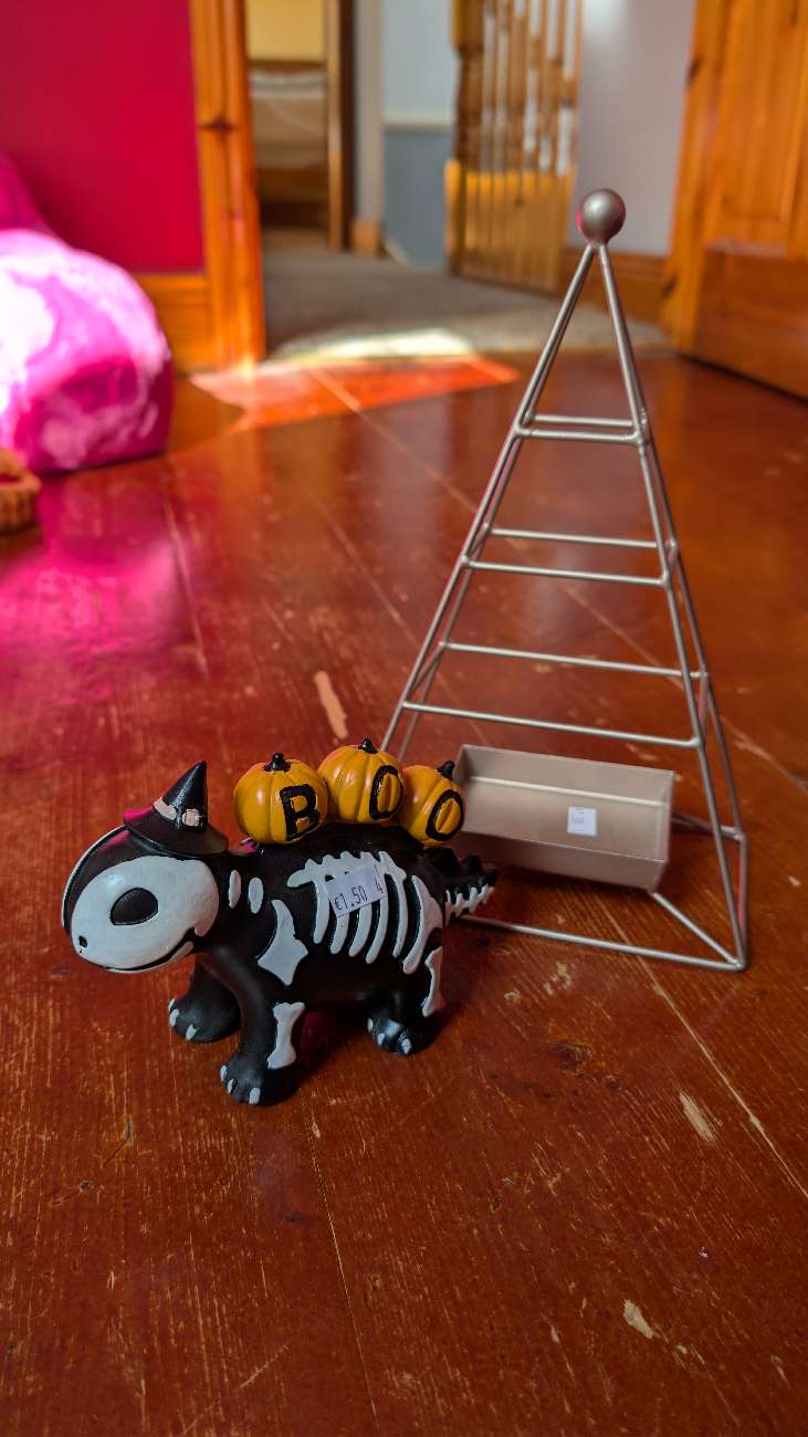Halloween decoration and Christmas decoration, that I'm going to use as a jewellery display bought at Irish Cancer Society Shop for £1.50