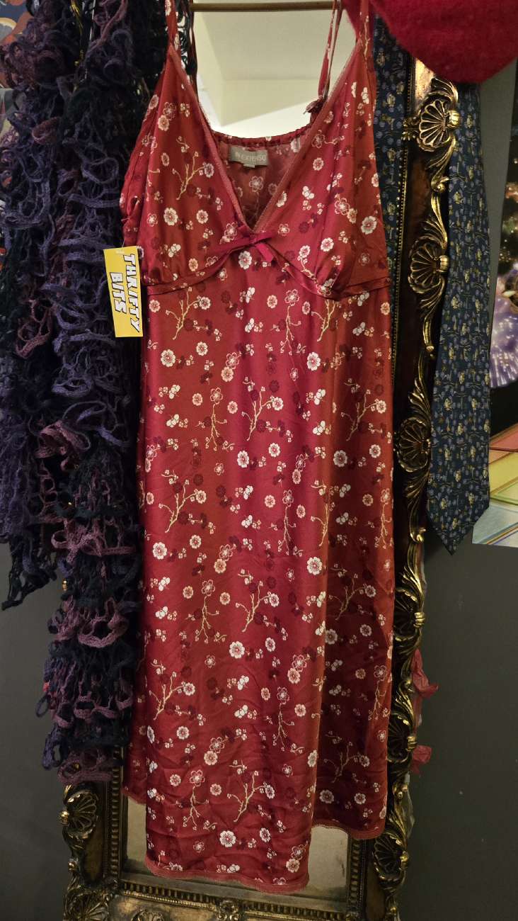 red floral slip dress!! only £3 such a bargain bought at Superstore Vintage Ltd for £3.00