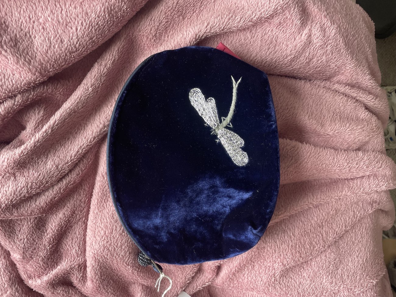 cutest dragonfly makeup bag product bought at Blue Cross charity shop, Weymouth for £1.00