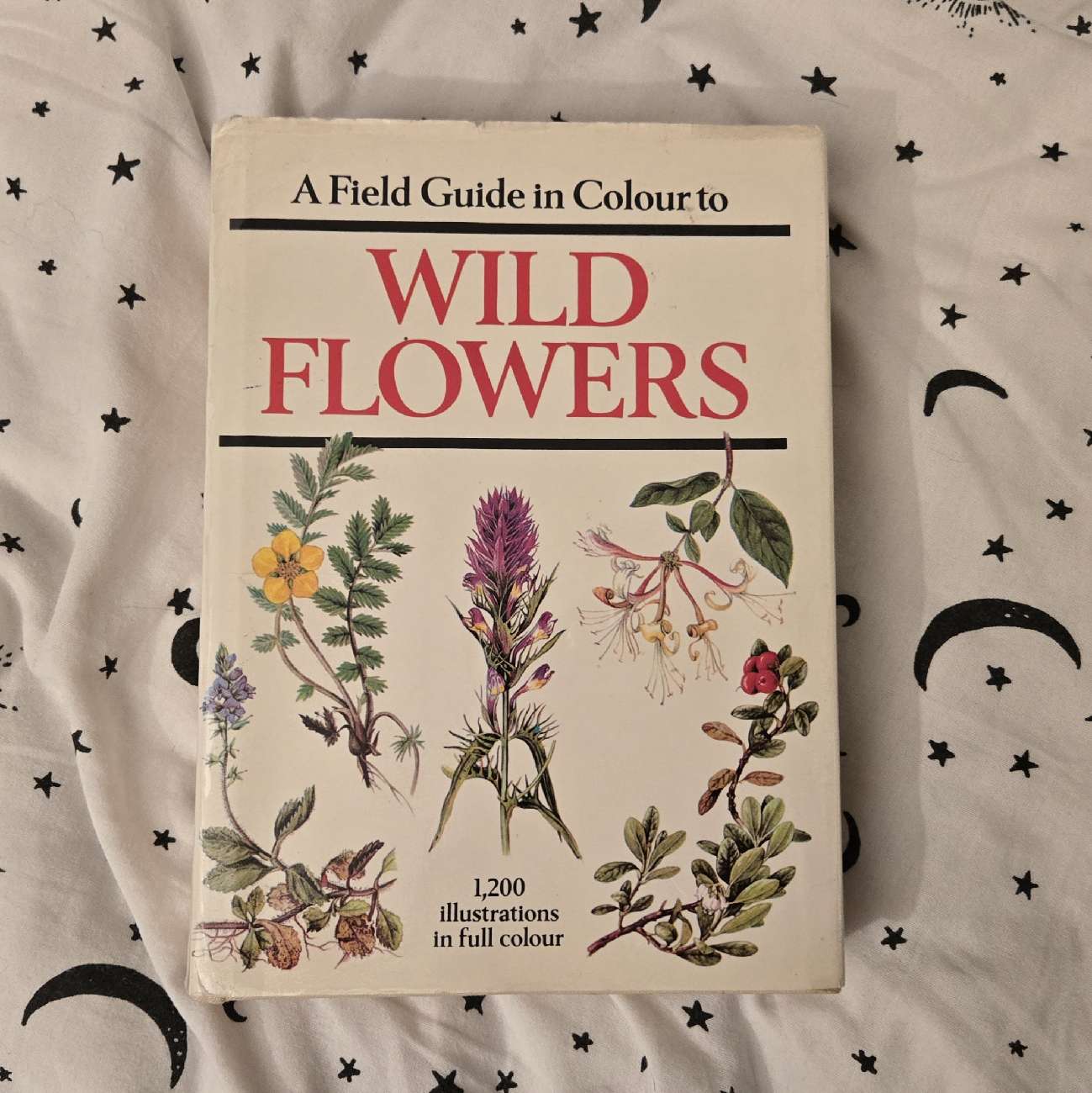 wild flower book each page has the prettiest illustration:)) bought at Oxfam Shop for £3.99