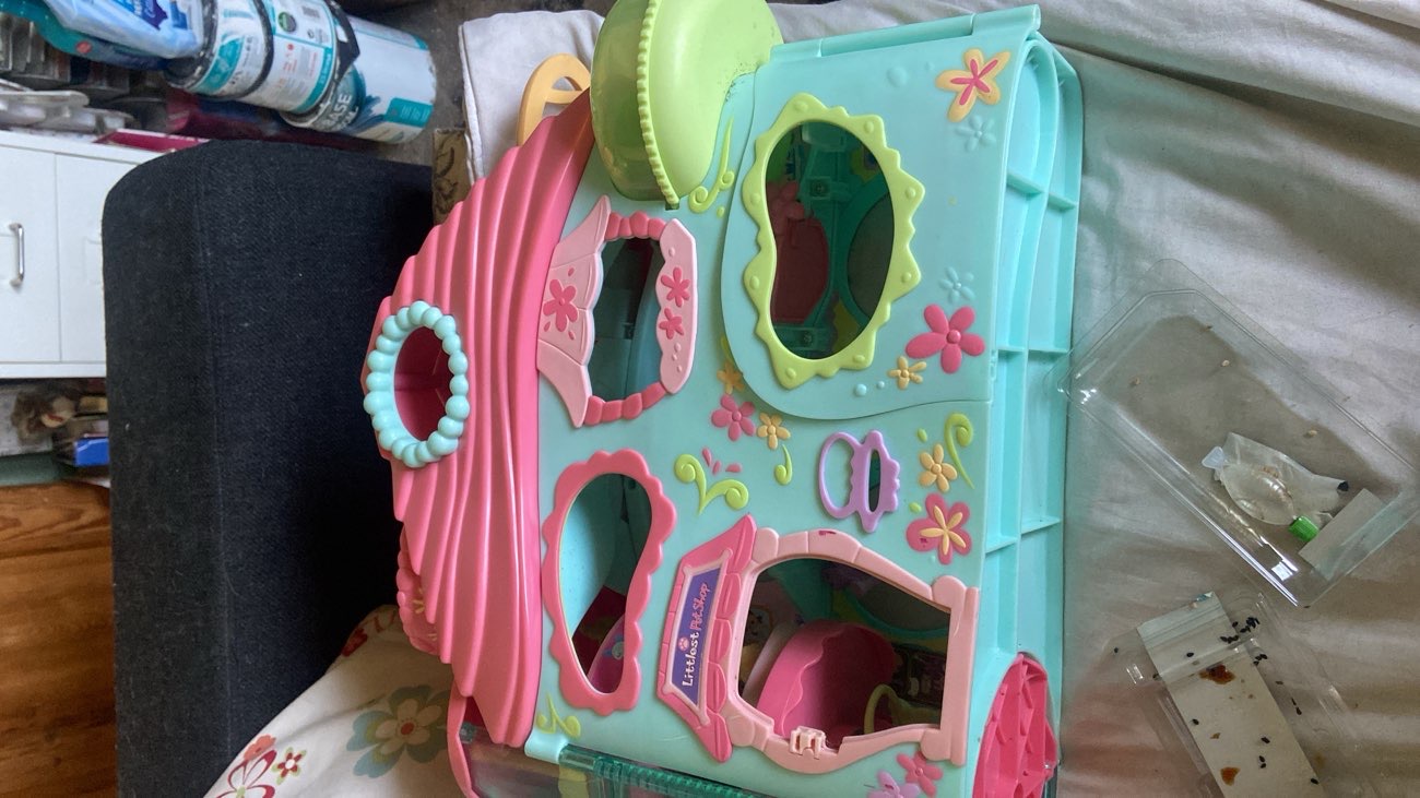 lps playhouse bought at Mind Charity Shop for £5.00