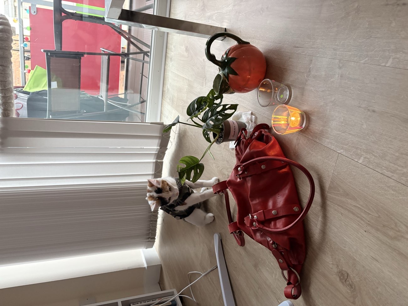 Cute haul (cat not included lol) bought at Leeds Bradford Airport Thursday Car Boot Sale for £10.00